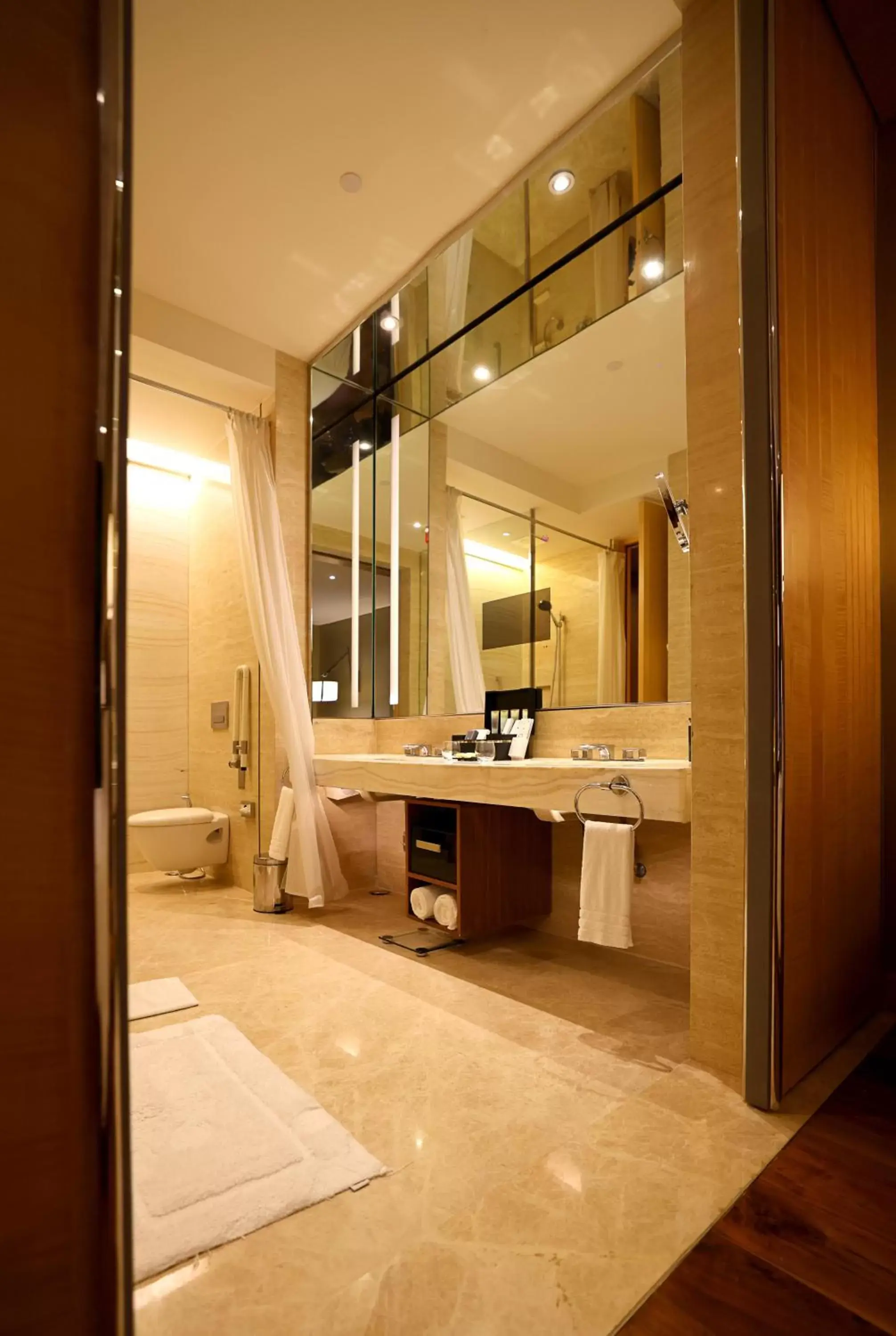 Bathroom in Conrad Pune