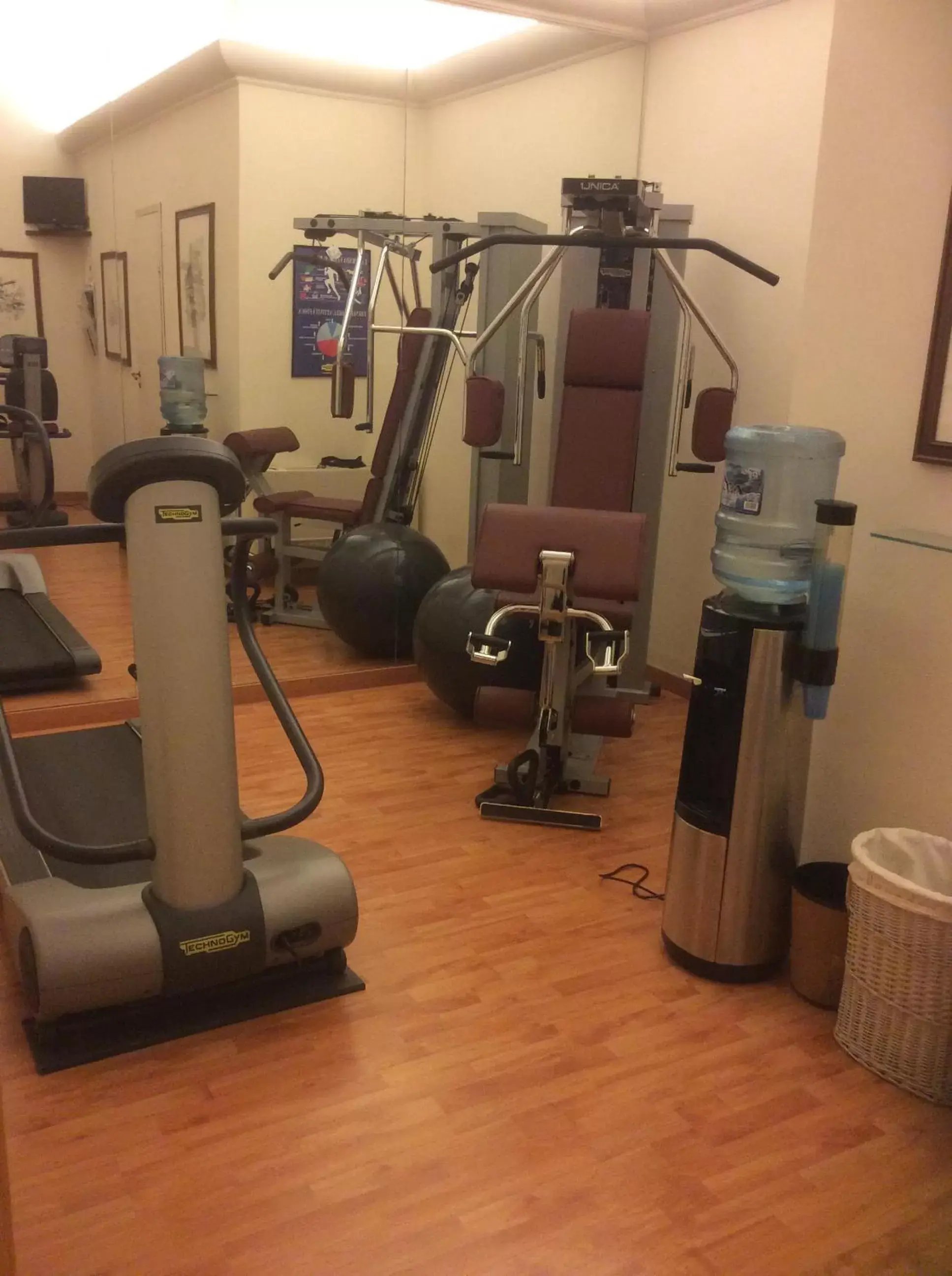 Fitness centre/facilities, Fitness Center/Facilities in Hotel Posta