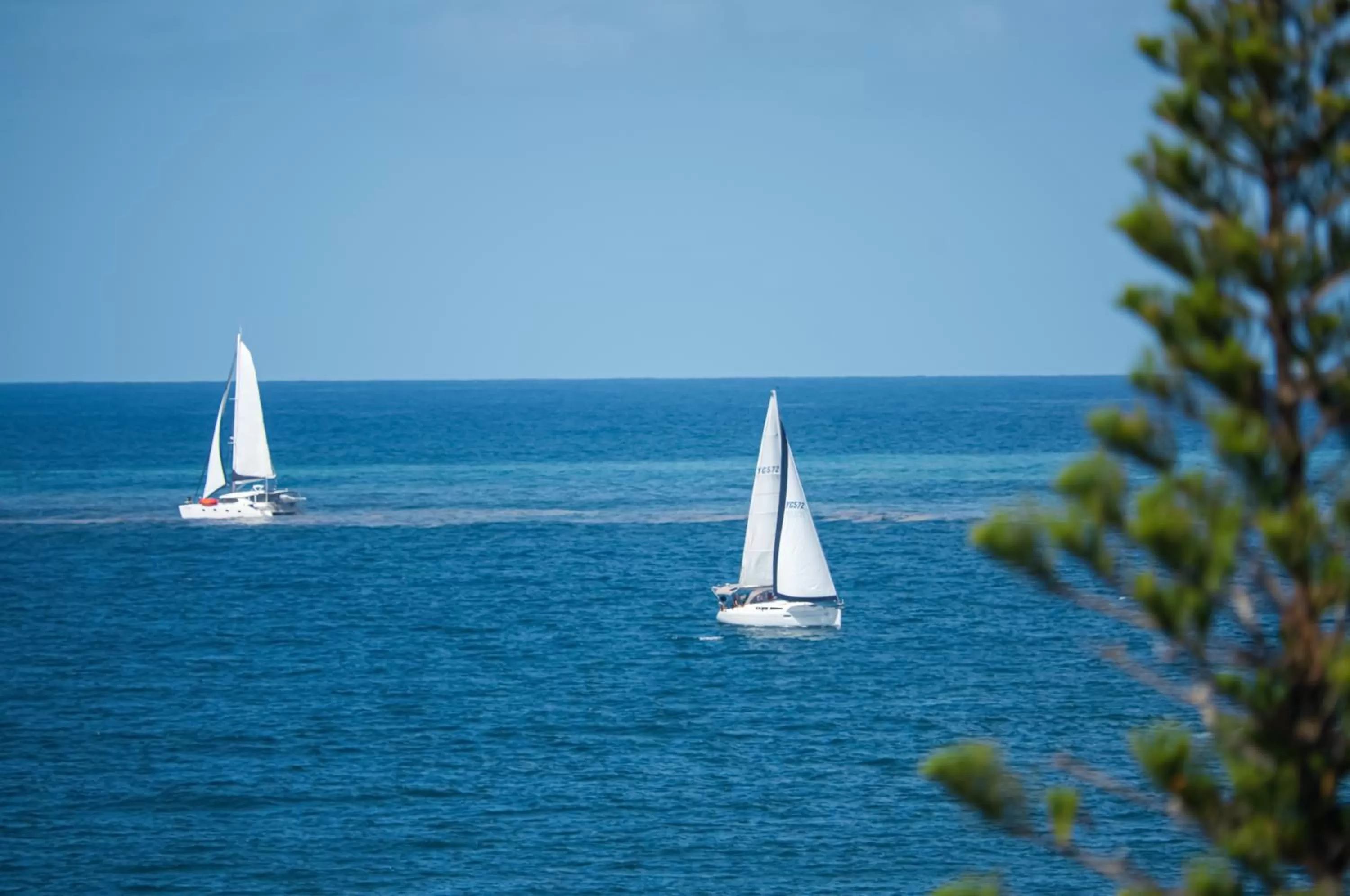Natural landscape in Oceans Mooloolaba