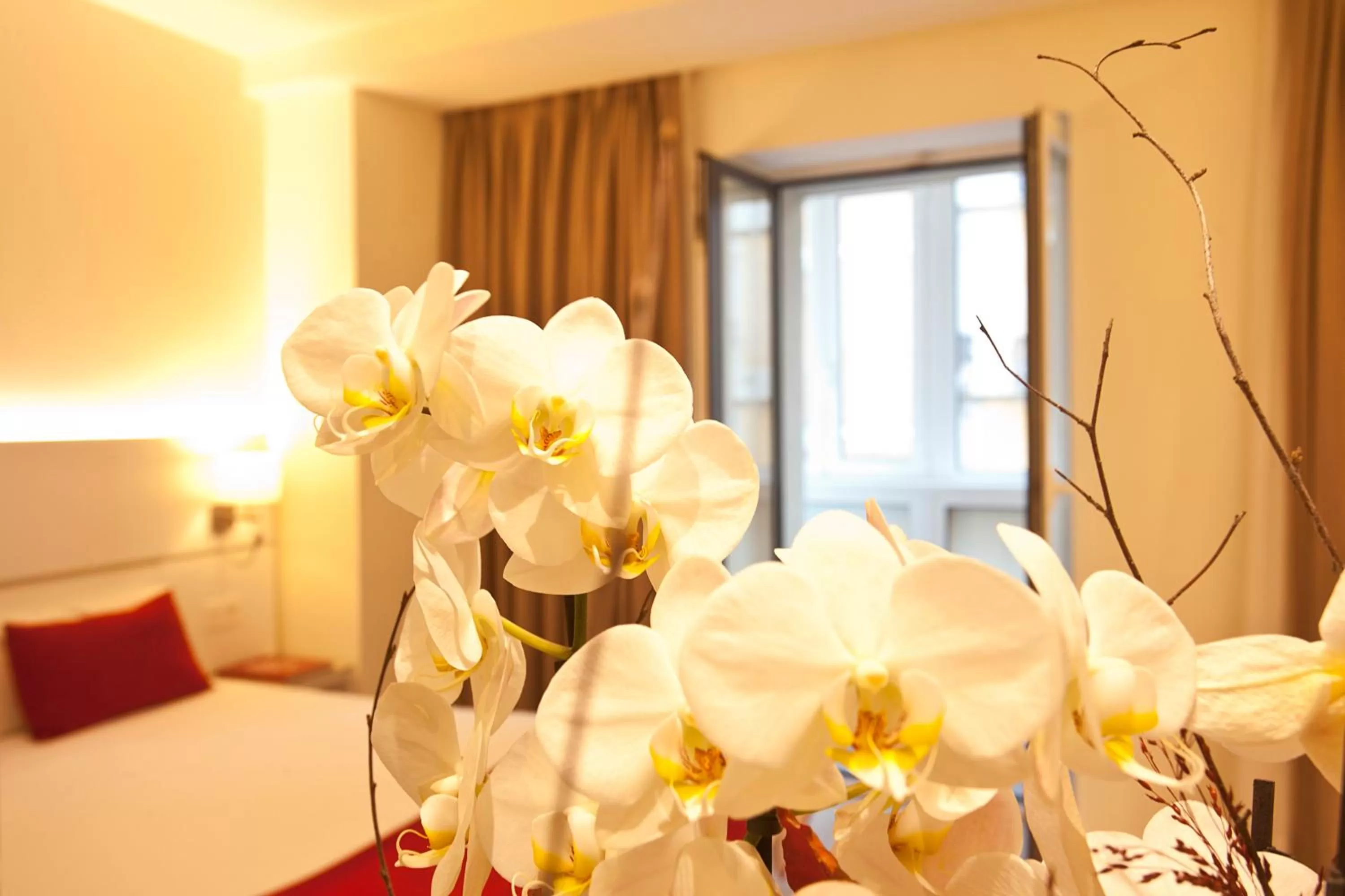 Bed in Hotel Pompaelo Plaza del Ayuntamiento & Spa