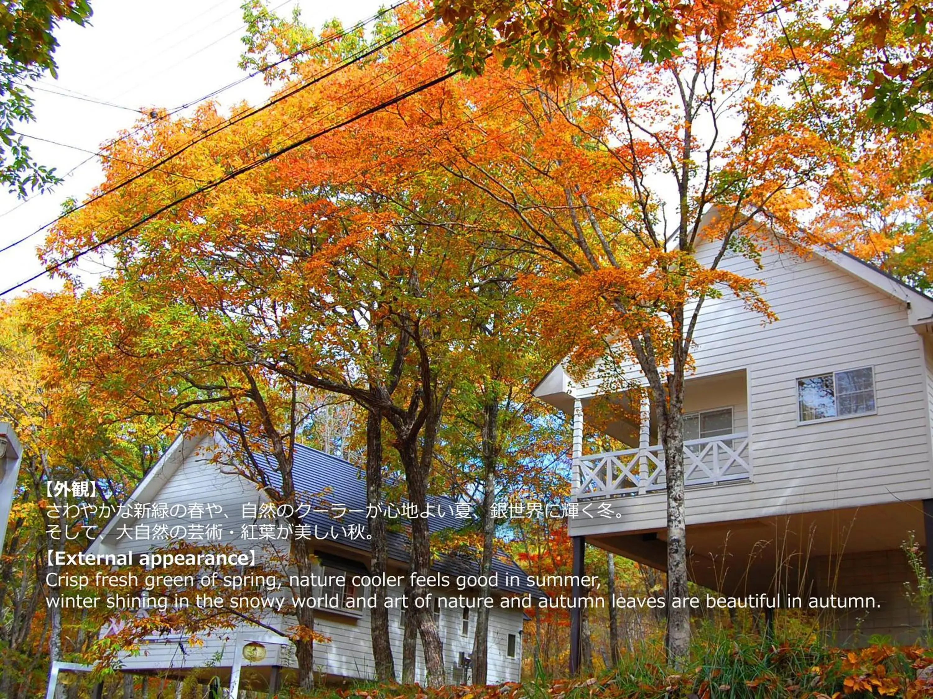 Bird's eye view, Property Building in Resort Villa Takayama