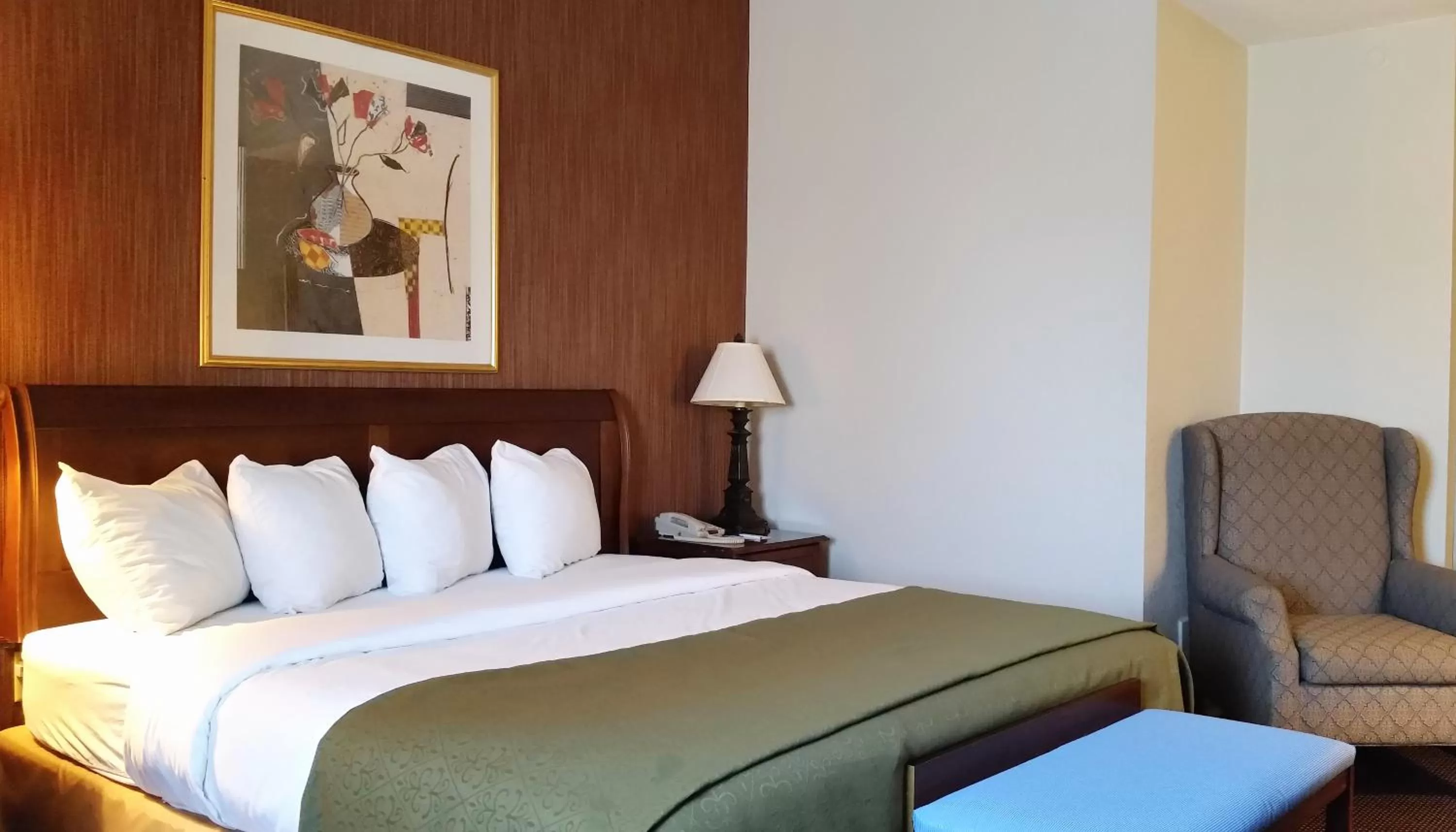 Bed in Travel Inn - Watertown NY