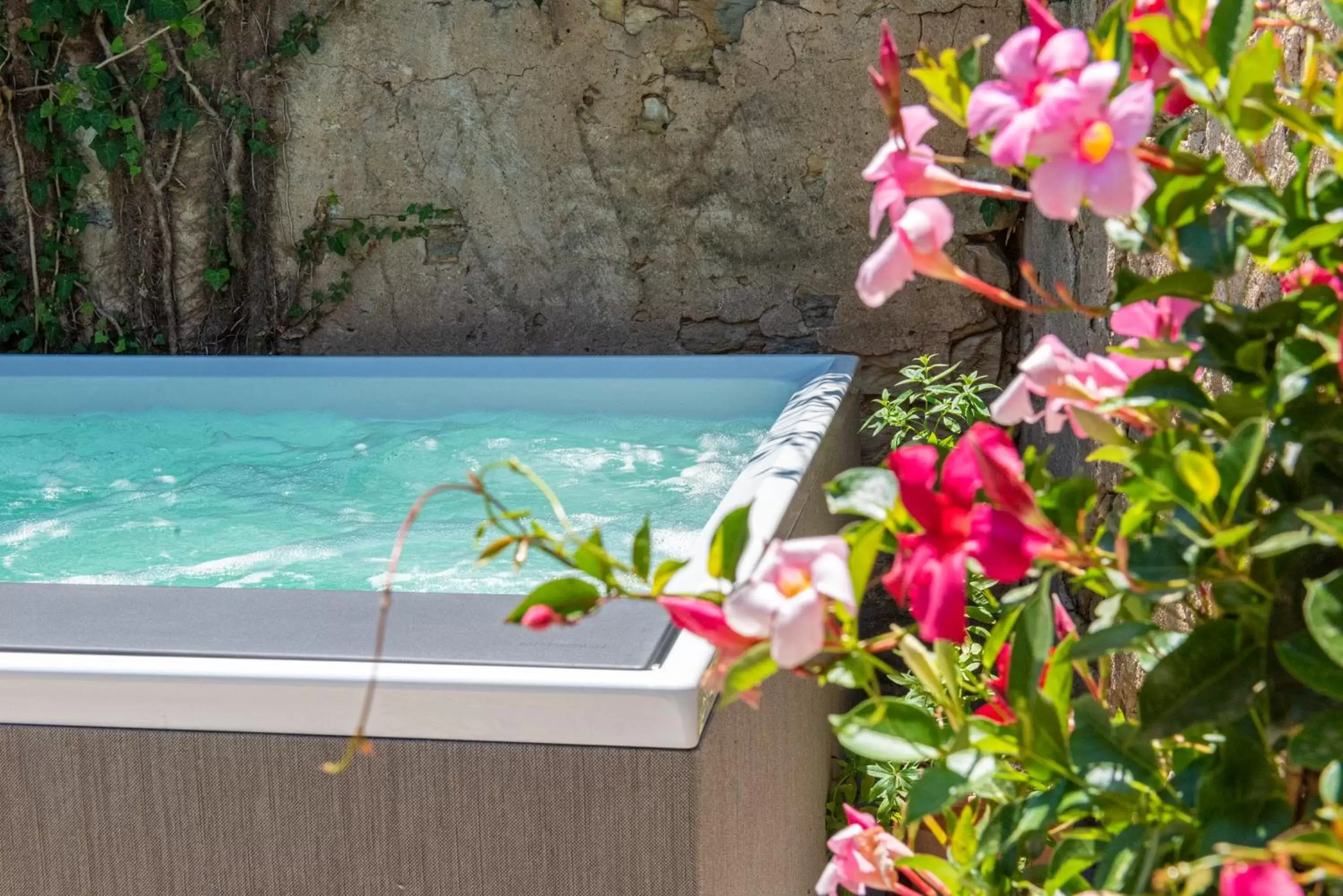 Hot Tub, Swimming Pool in Albergo Rurale Casa Fois