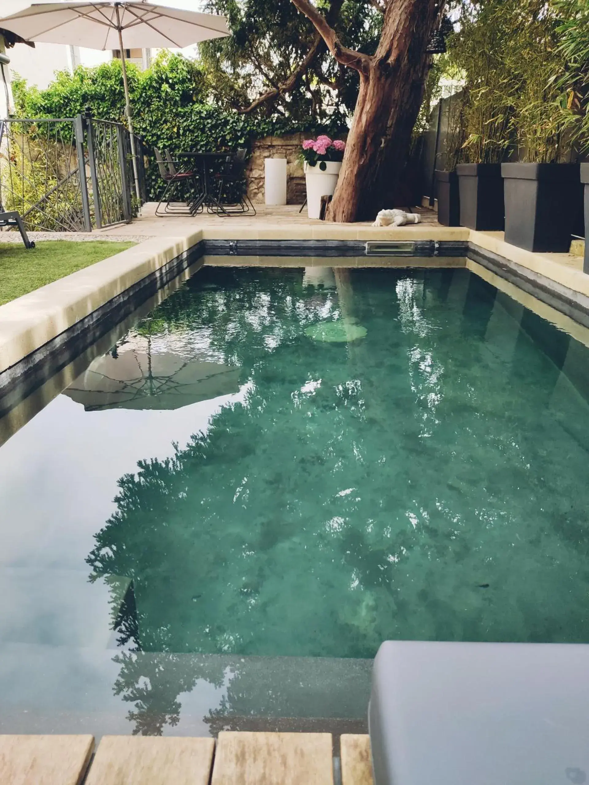 Garden, Swimming Pool in La Maison Grivolas