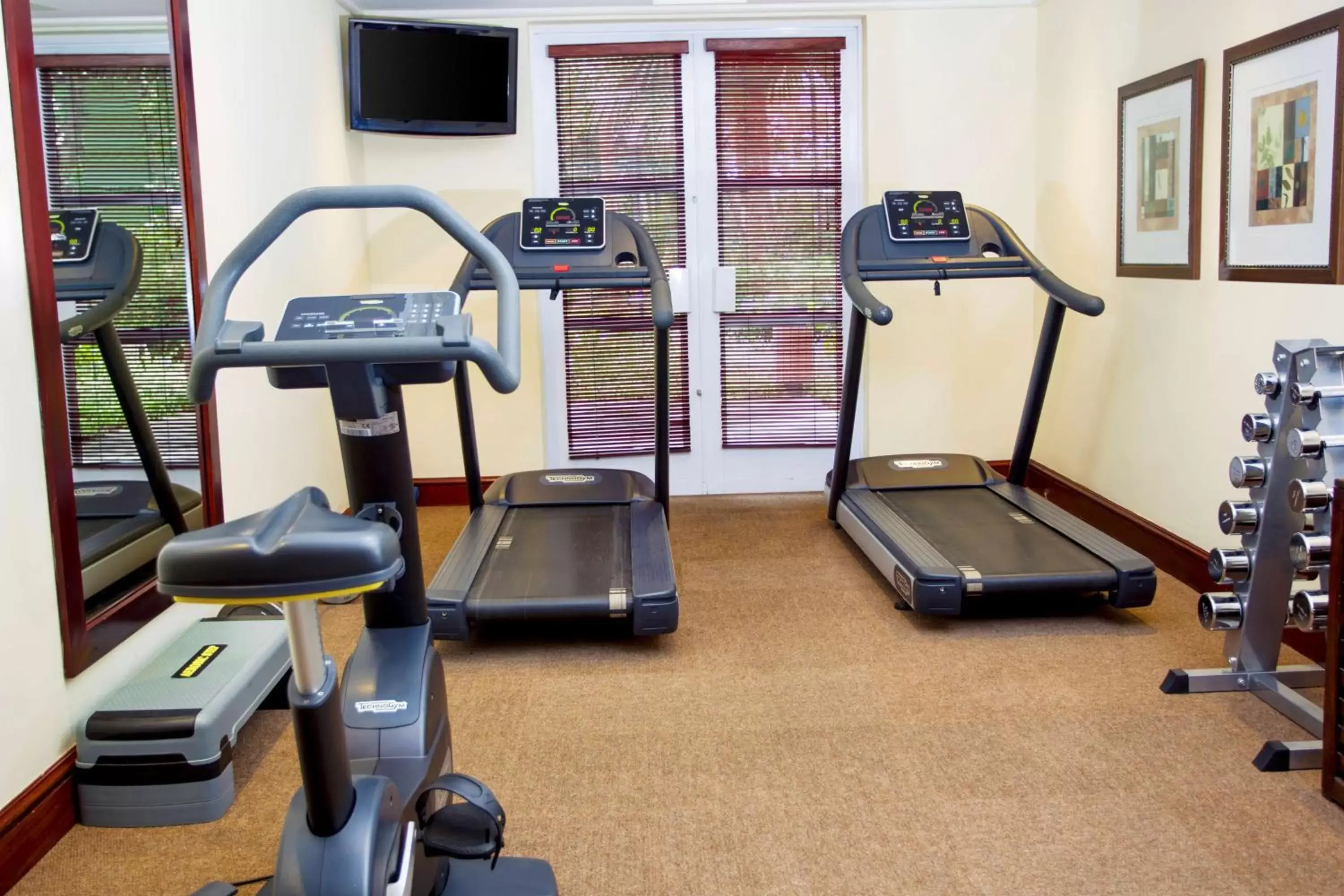 Activities, Fitness Center/Facilities in Southern Sun Mbombela