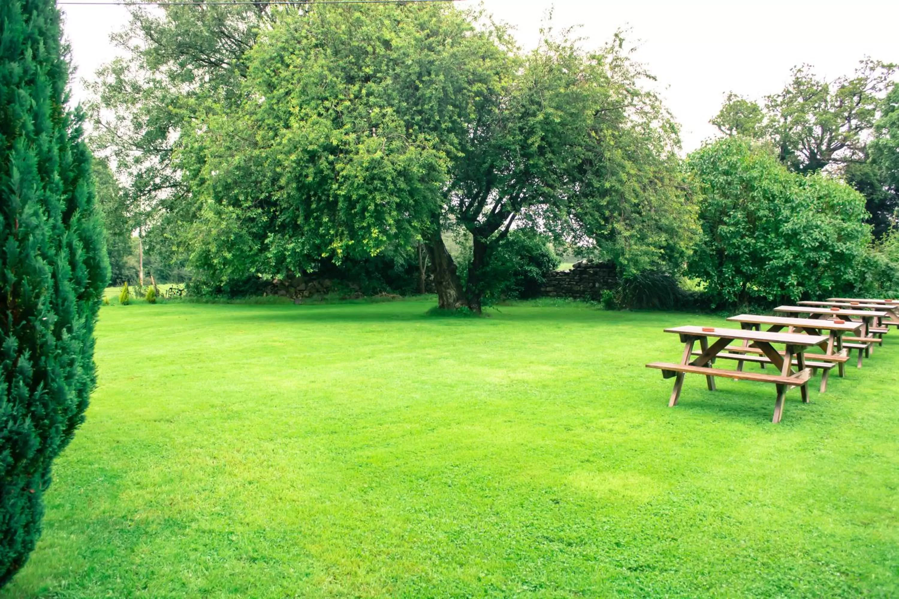 Garden in The Old Down Inn