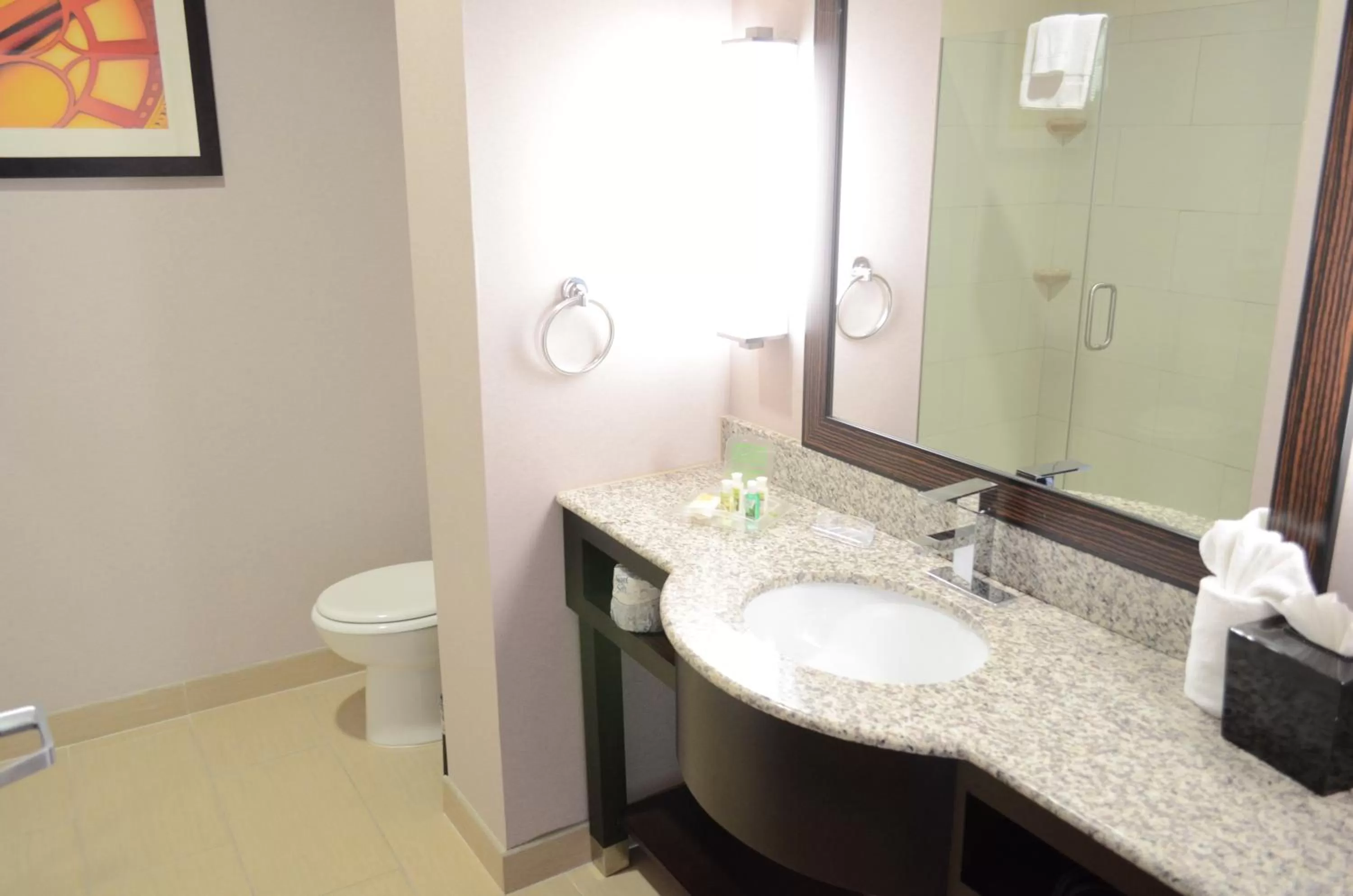 Bathroom in Holiday Inn Houston West - Westway Park by IHG