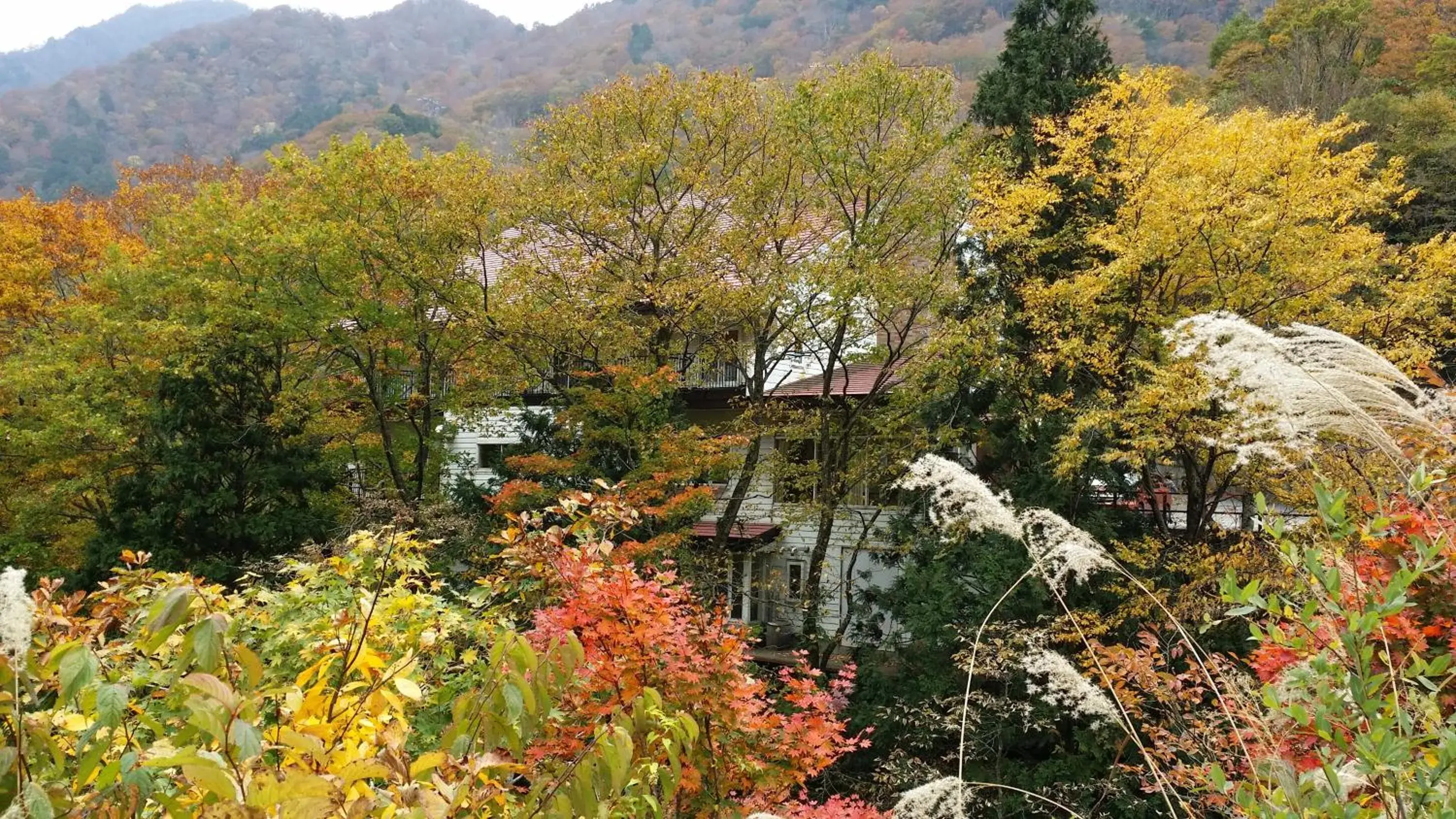 Property building, Garden in Tenjin Lodge