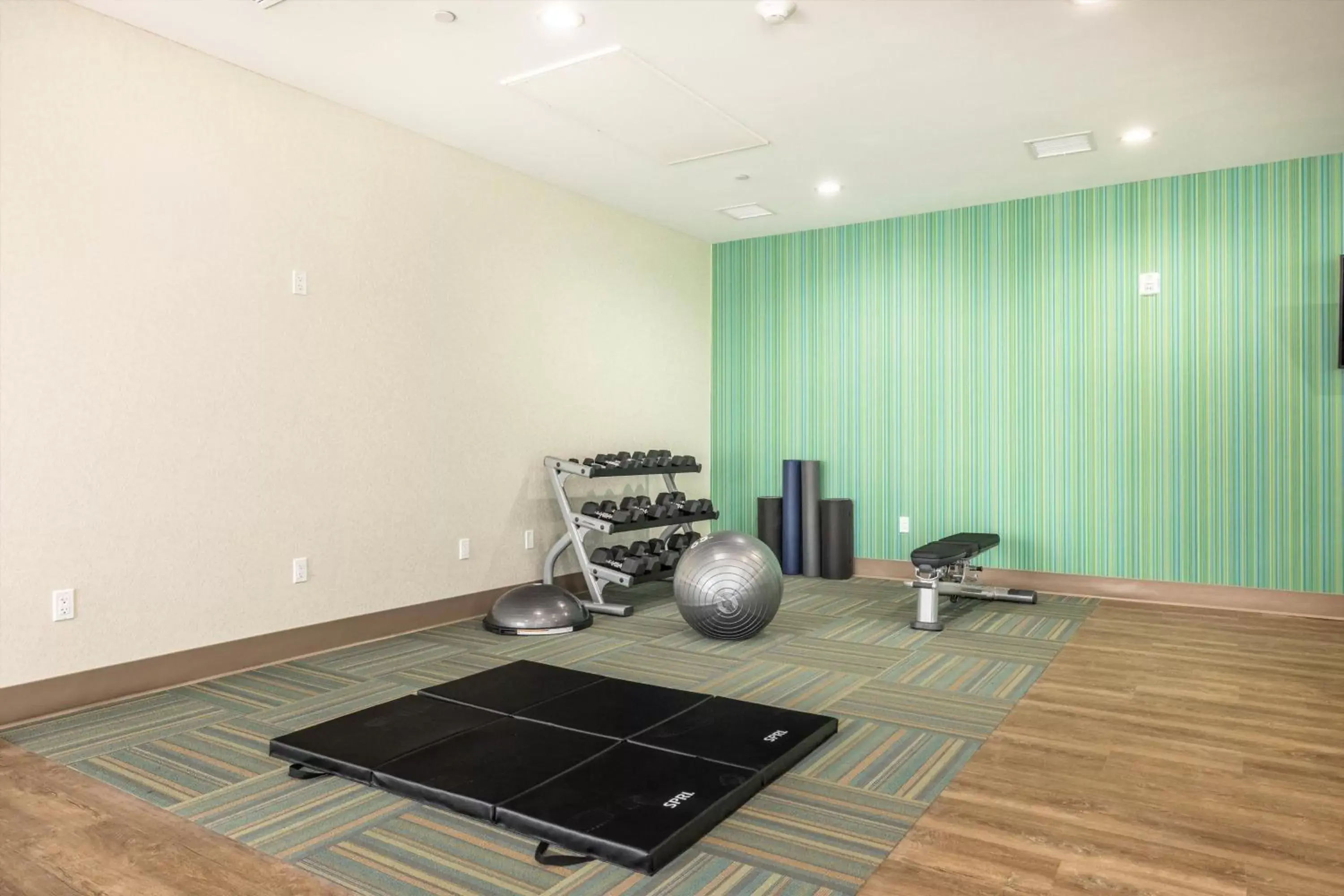 Fitness centre/facilities, Fitness Center/Facilities in Holiday Inn Express & Suites - San Jose Silicon Valley, an IHG Hotel