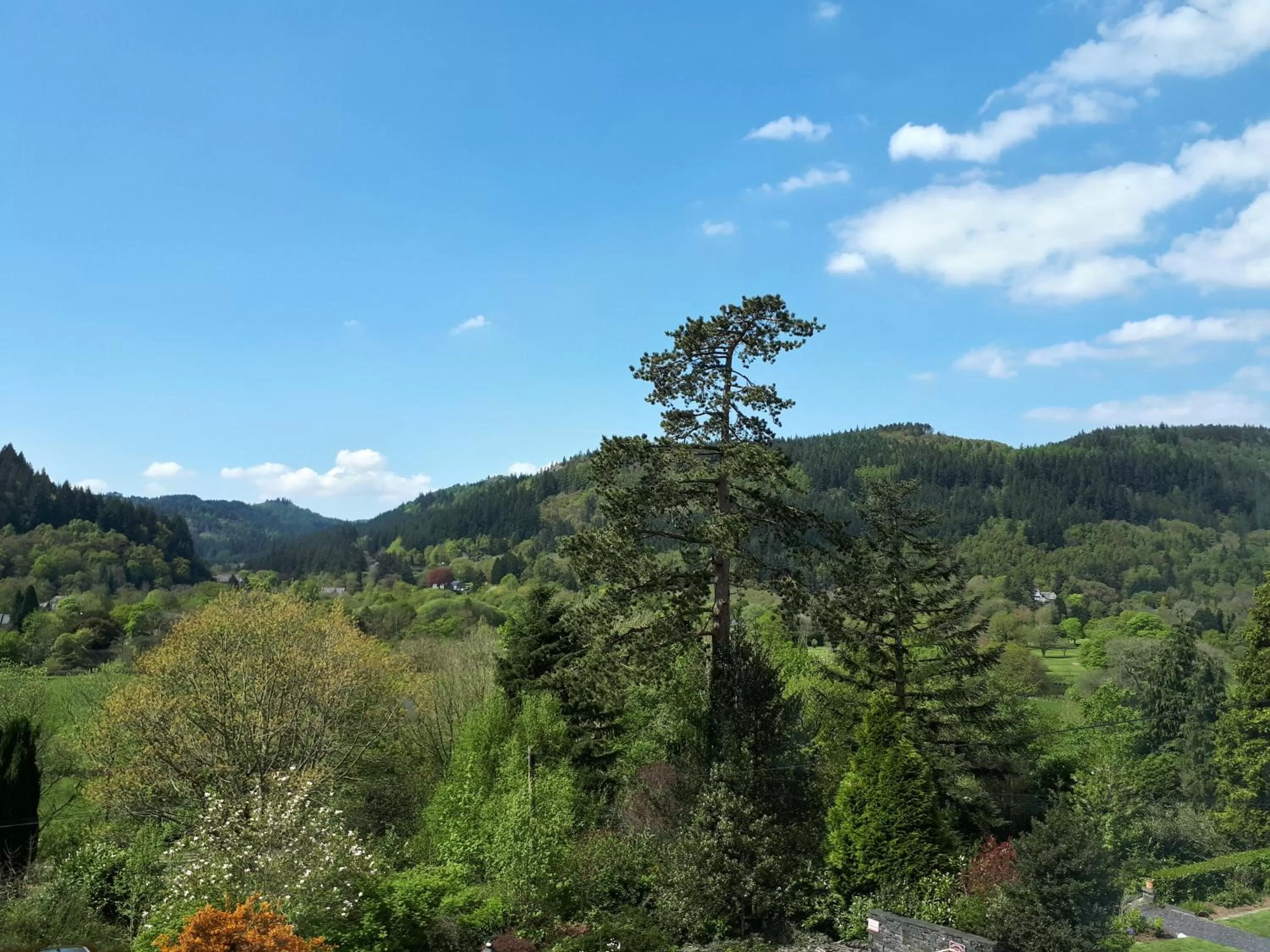 On site, Natural Landscape in Aberconwy House B&B