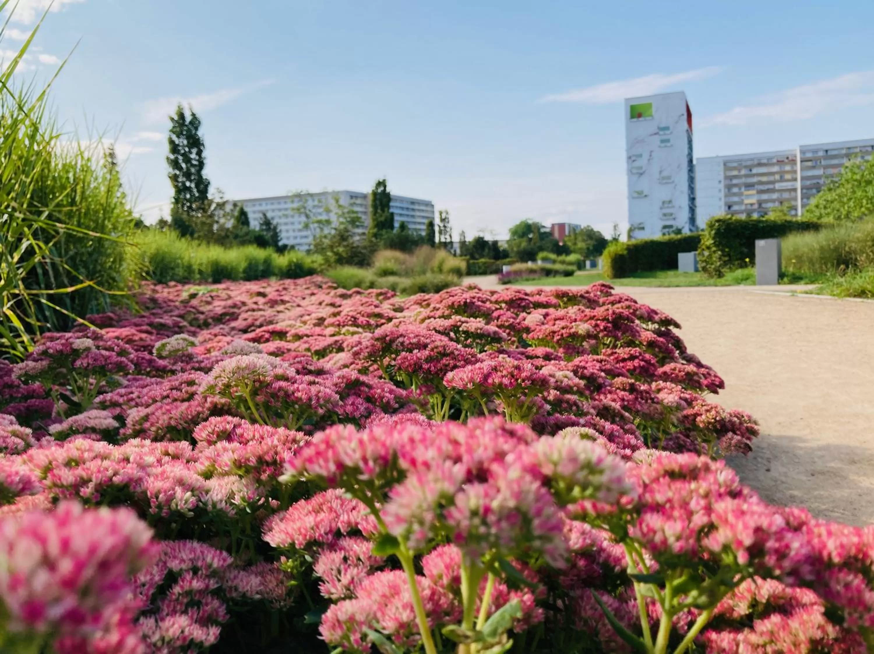 Nearby landmark in Akzent Congresshotel Hoyerswerda