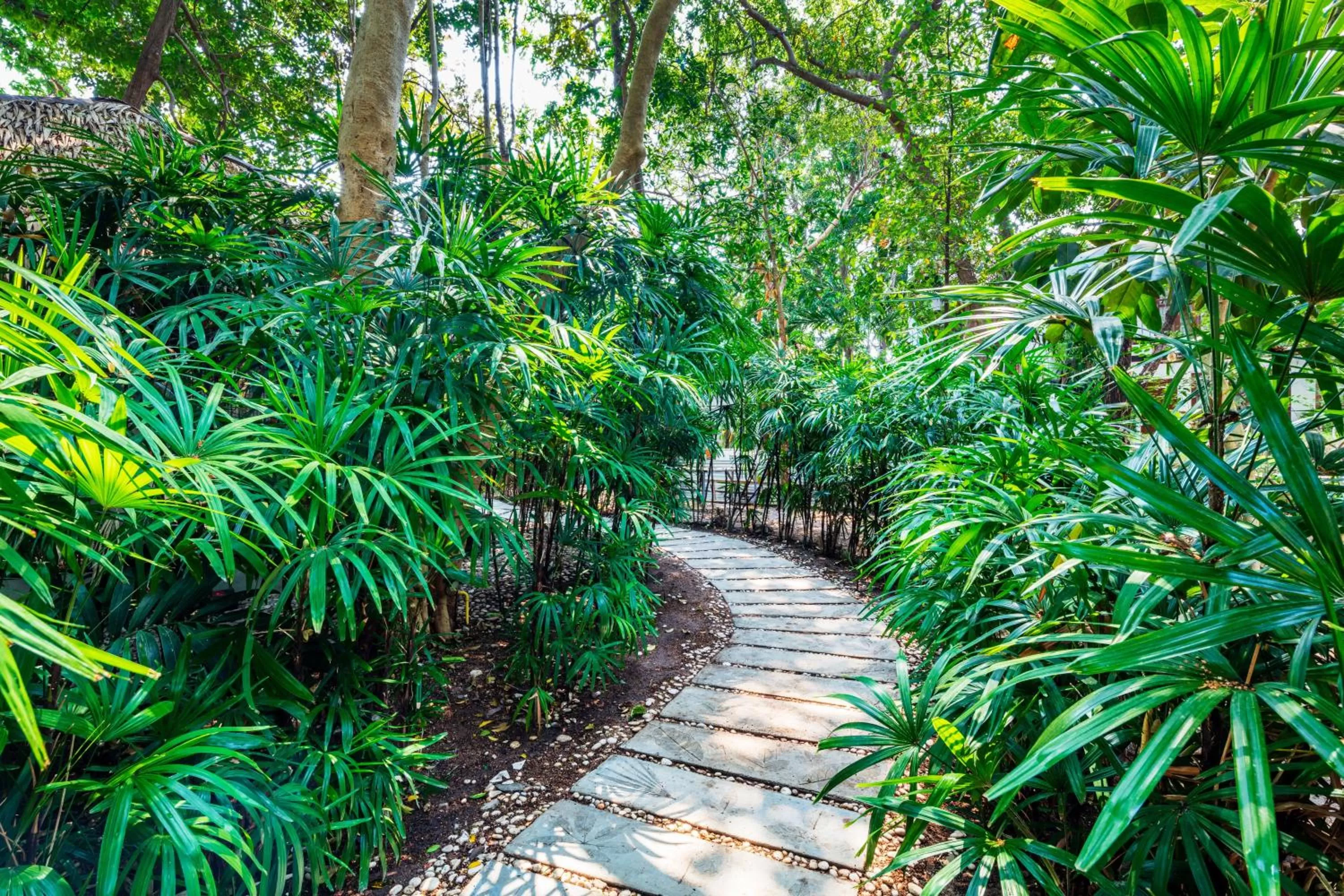 Spa and wellness centre/facilities, Garden in The Monttra Pattaya - SHA Extra Plus