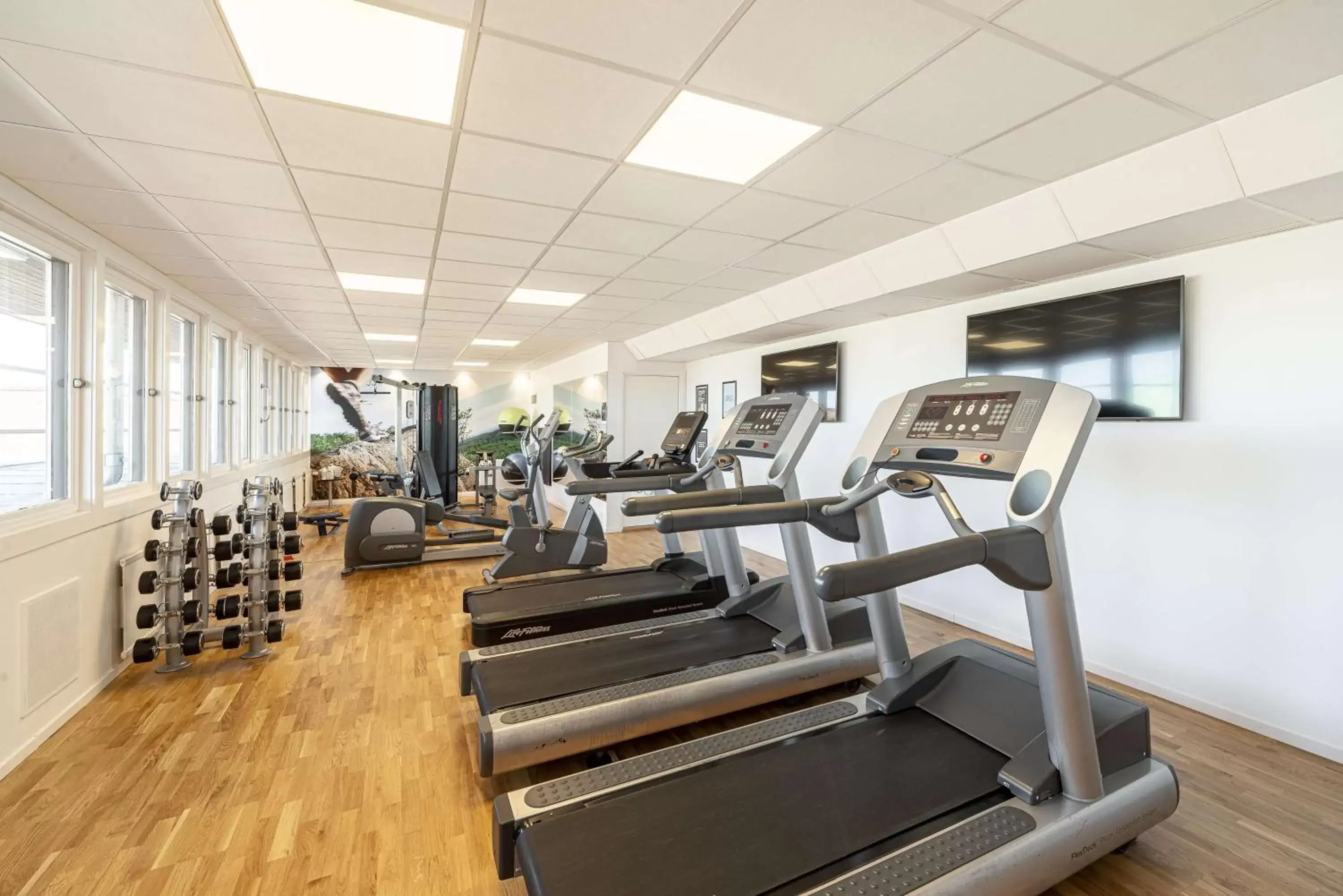 Activities, Fitness Center/Facilities in Scandic Hallandia