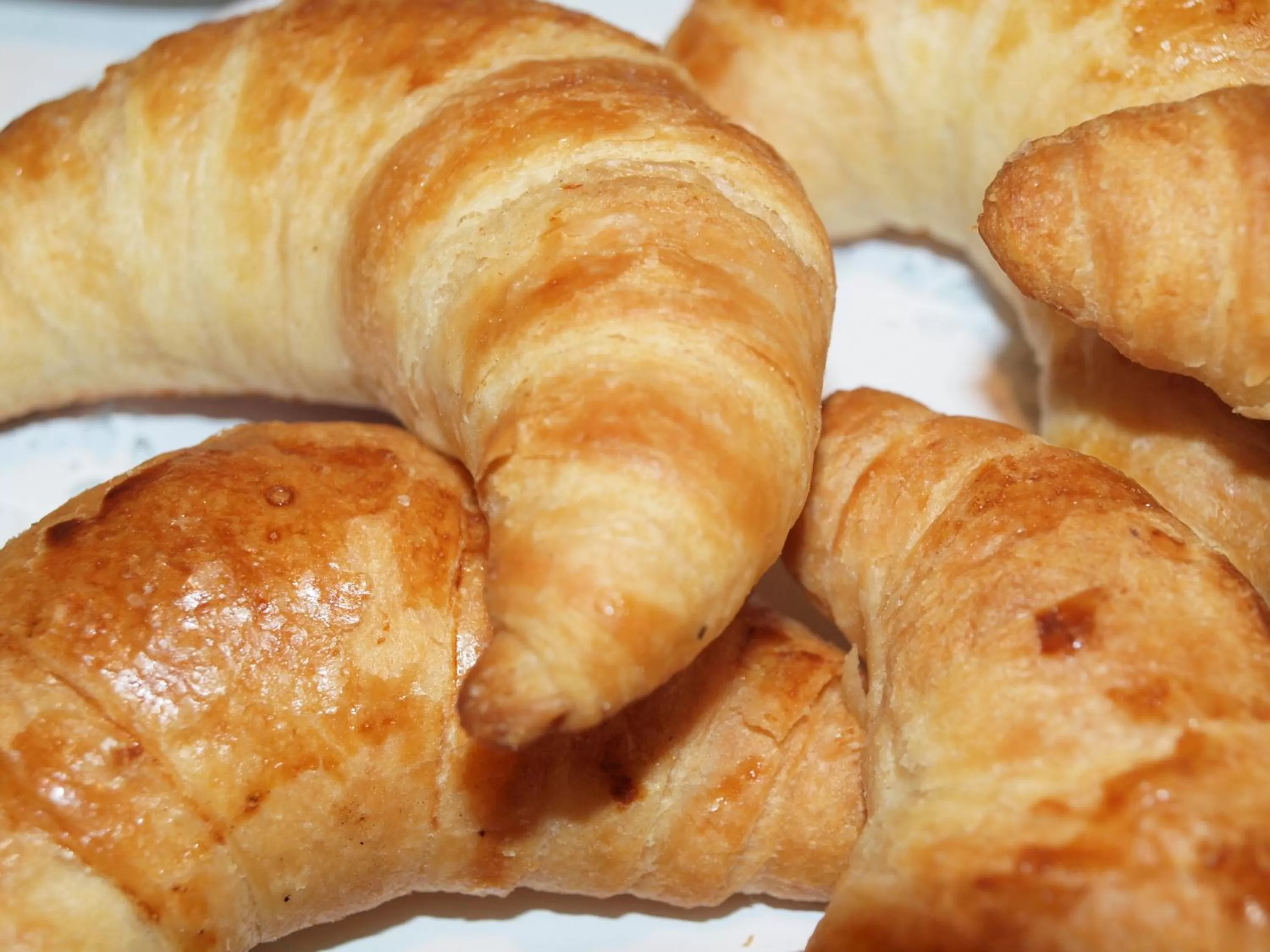 Food close-up in Hotel Babenbergerhof