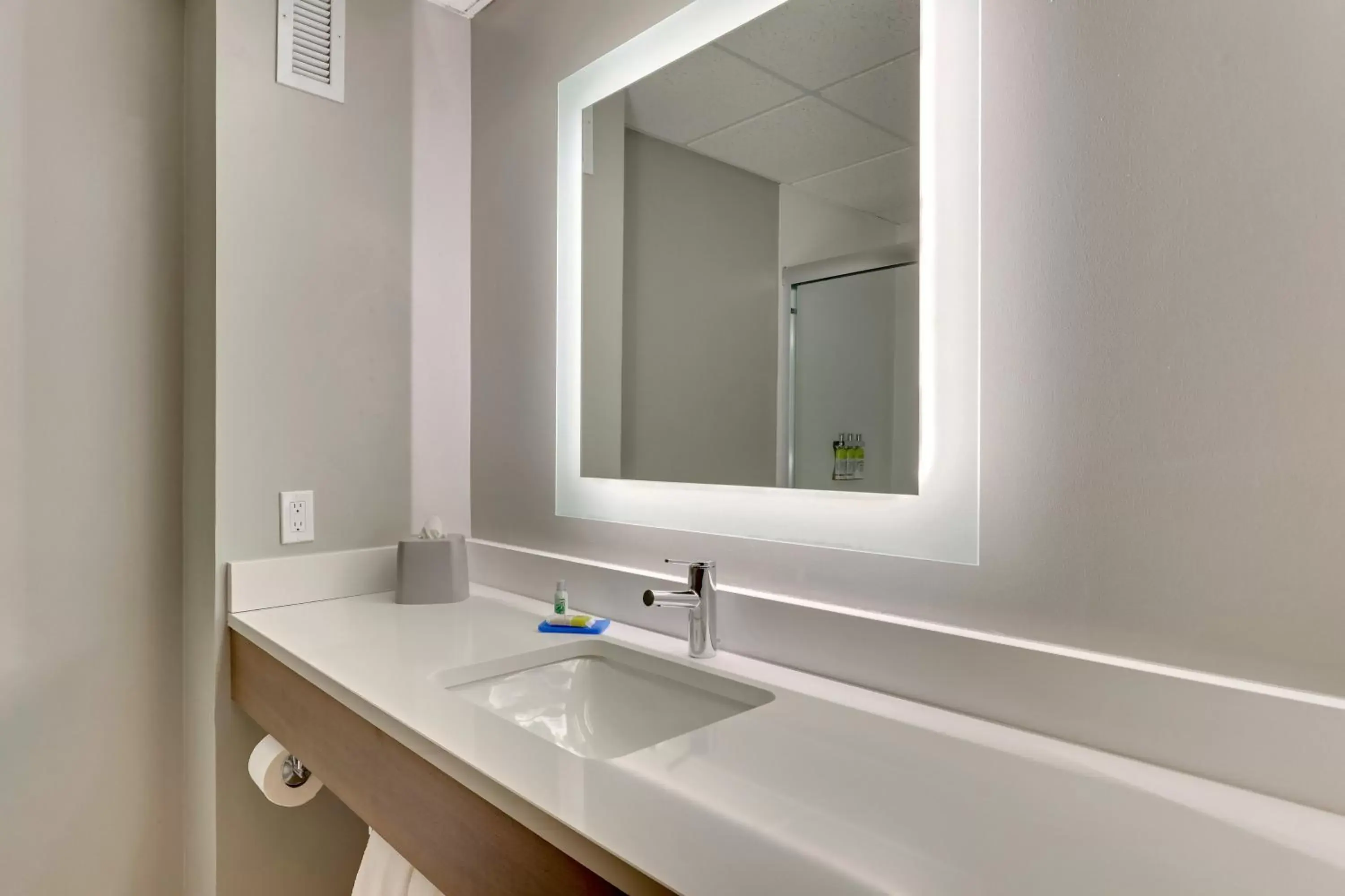 Bathroom in Holiday Inn Express & Suites Bad Axe, an IHG Hotel