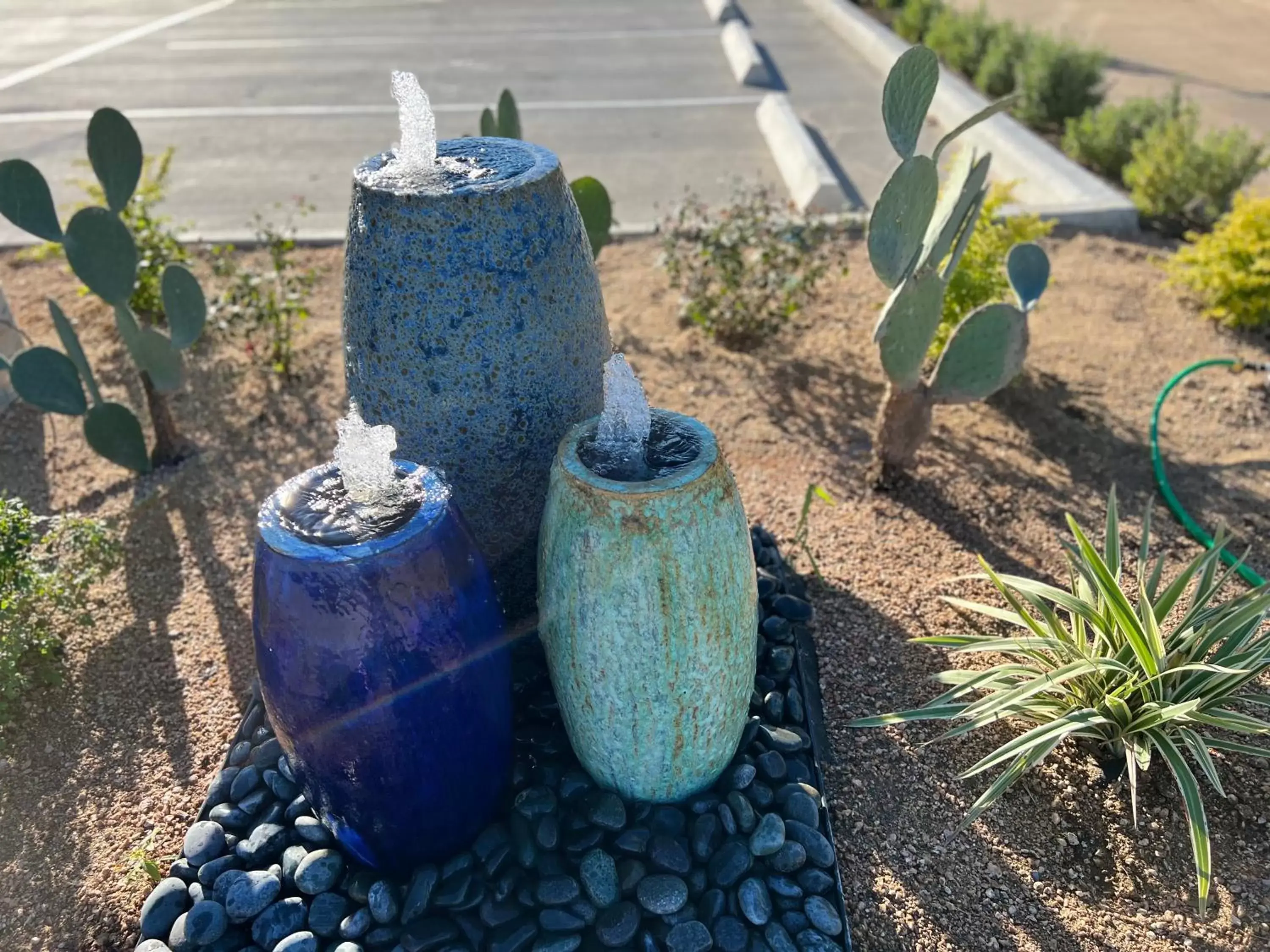 Garden, Other Animals in The Residency Suites