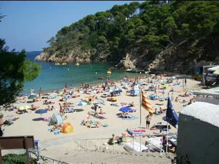 Beach in Hostal Ondina