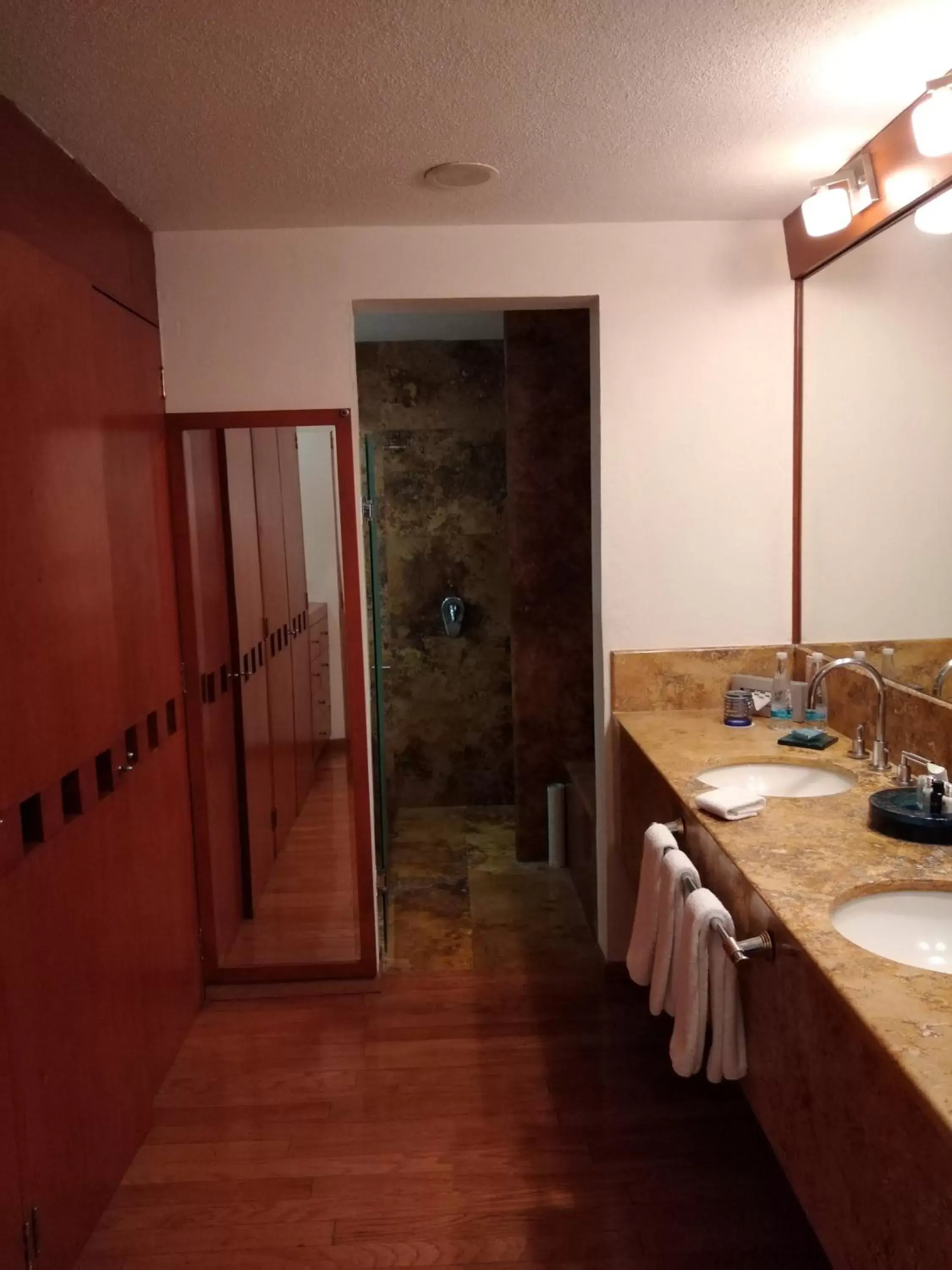 Photo of the whole room, Bathroom in Camino Real Guadalajara