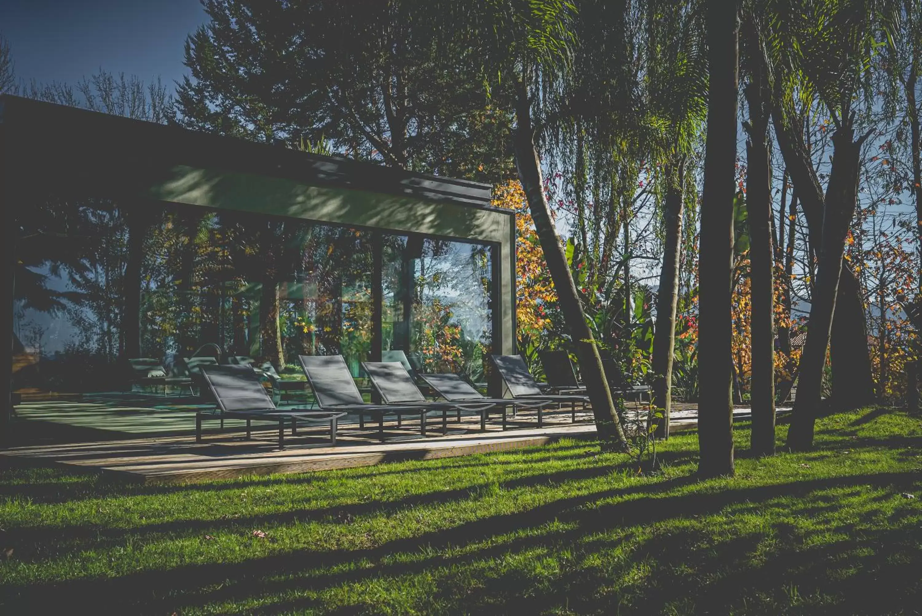 Natural landscape, Garden in Quinta de Silvalde