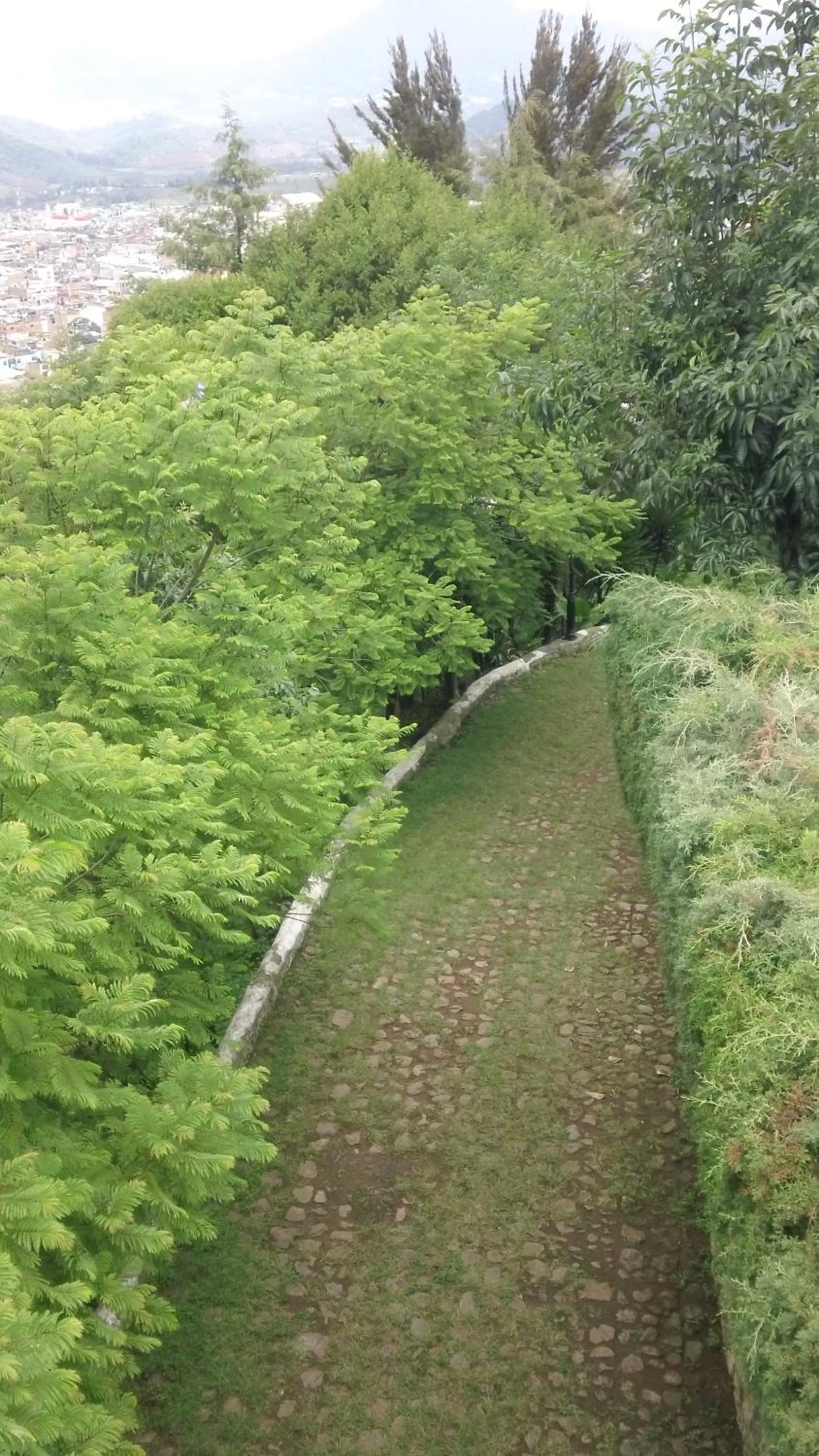 Activities in Hotel Villa Monarca Inn