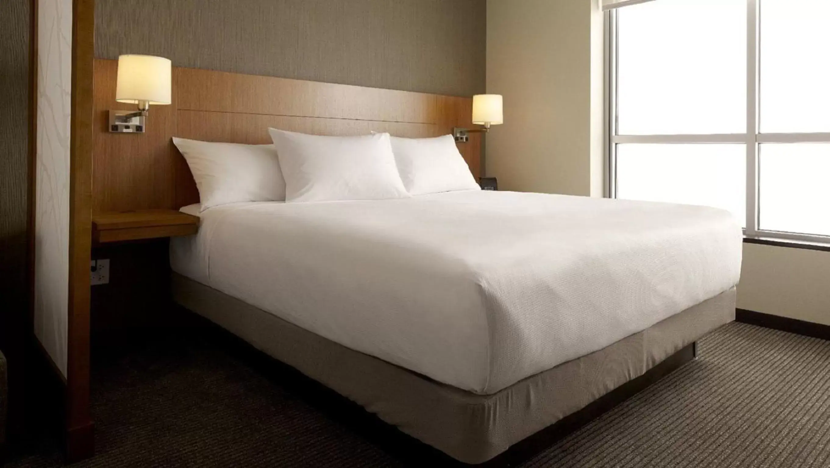 King Room with Sofa Bed - High Floor in Hyatt Place Detroit/Utica