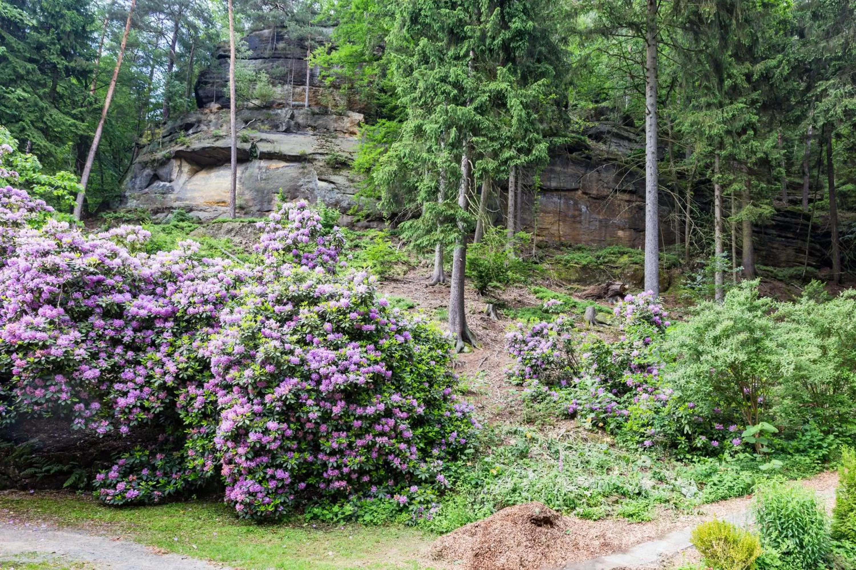 Garden in Hotel Waldhäusel