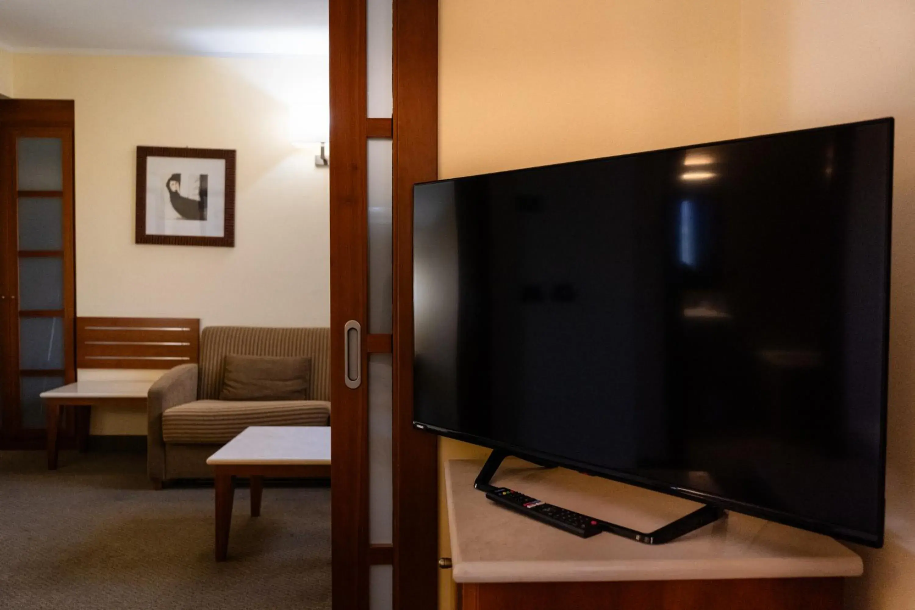 TV/Entertainment Center in Hotel Airone