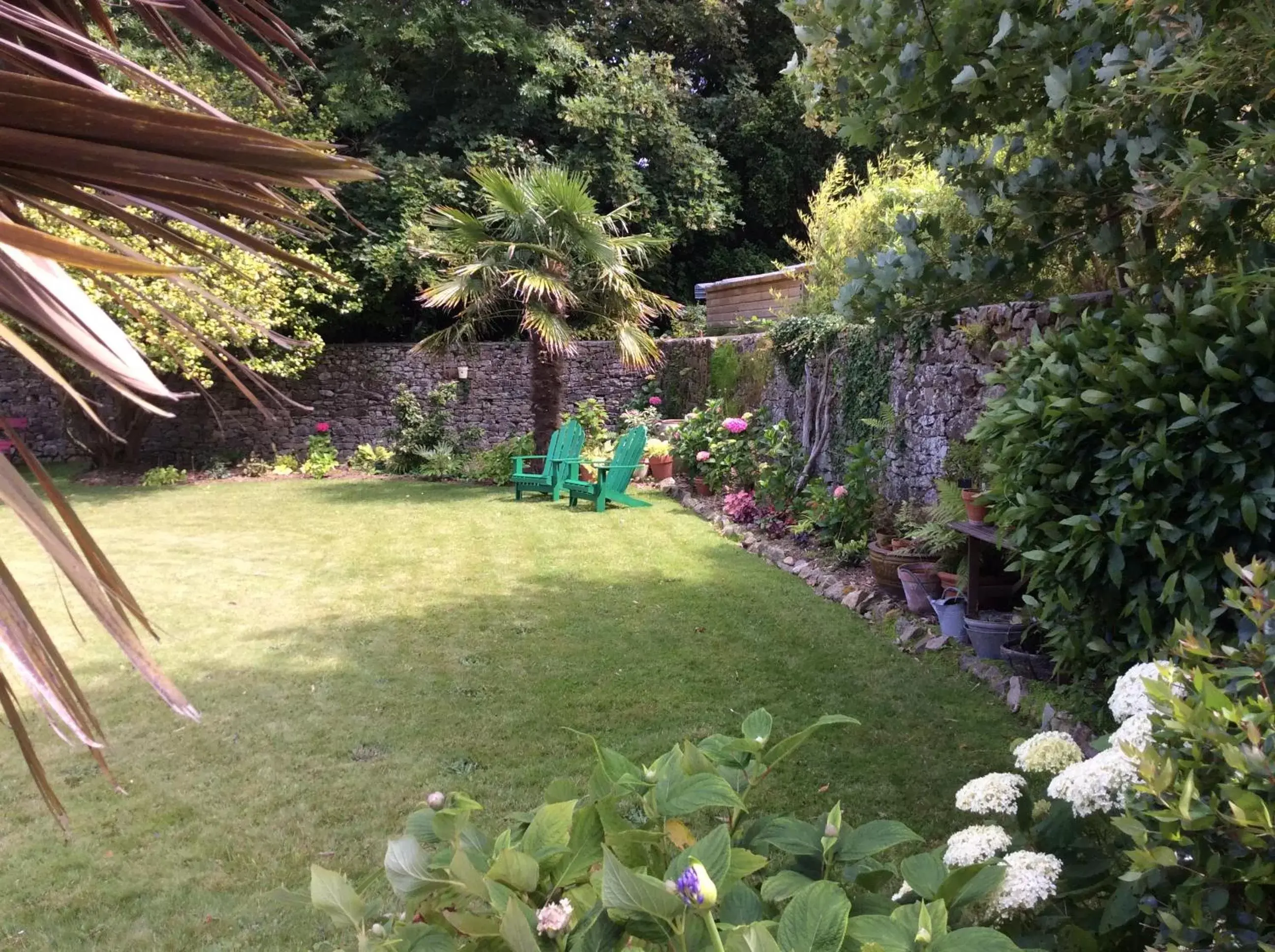 Garden in Hotel de France