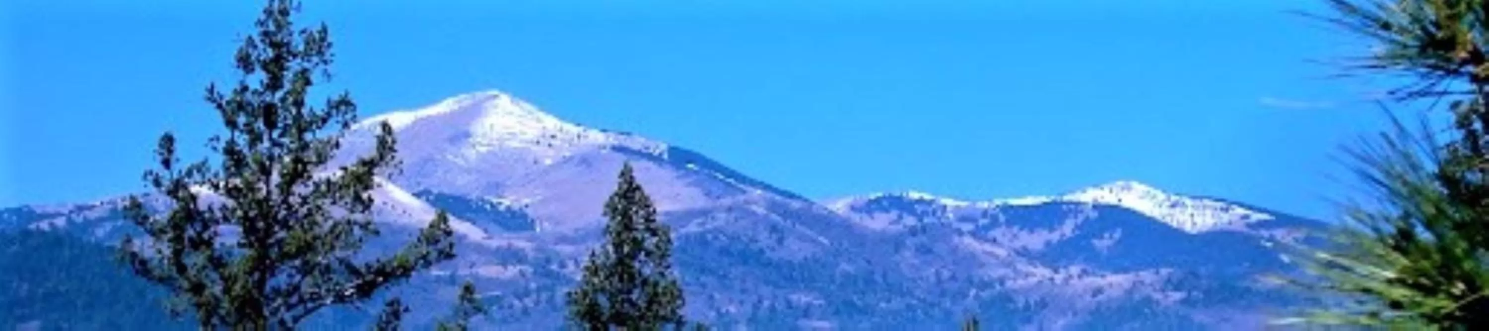 Skiing in Pinecliff Village Resort