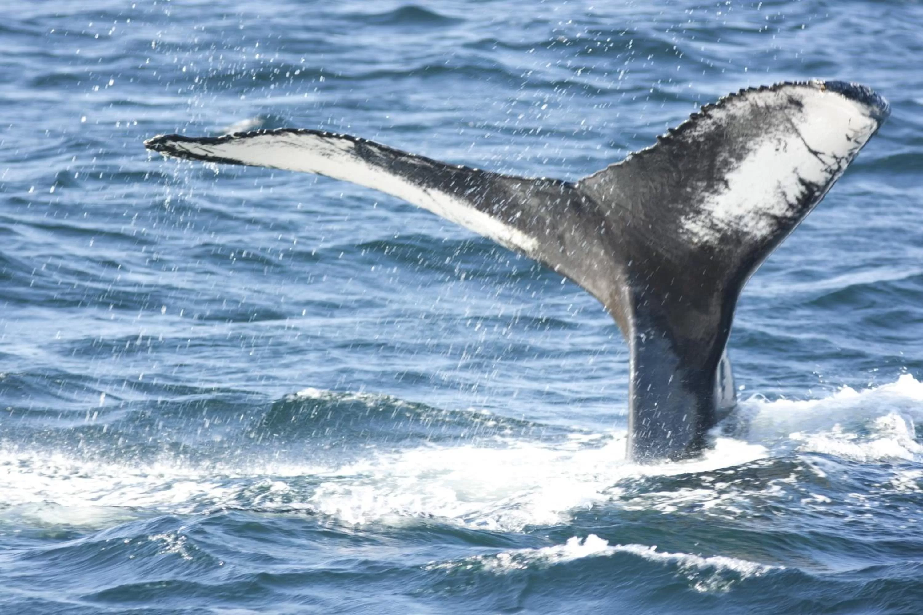 Nearby landmark in Deer Lake Horizon Hotel