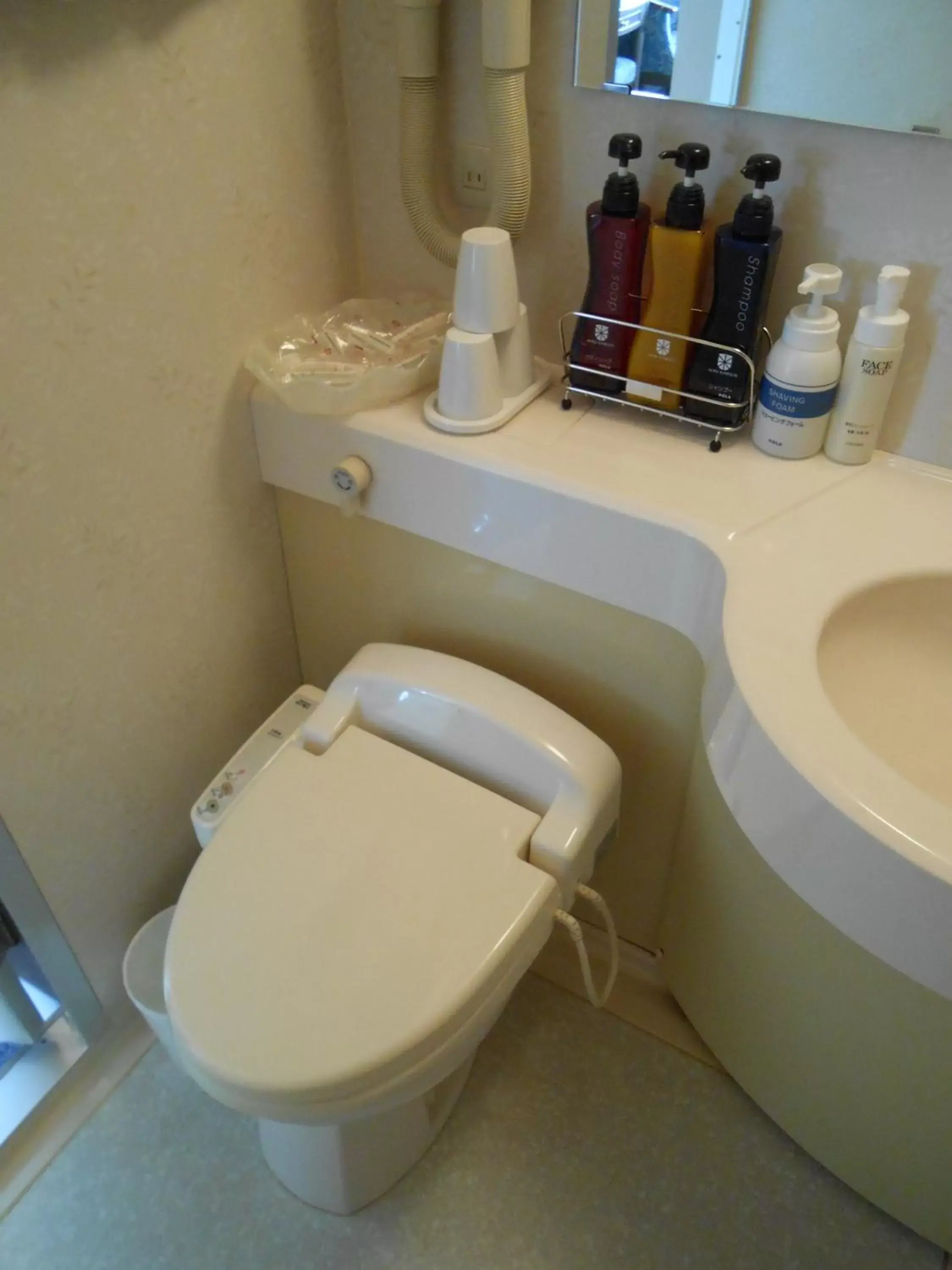 Toilet, Bathroom in Hotel Sunroute Niigata