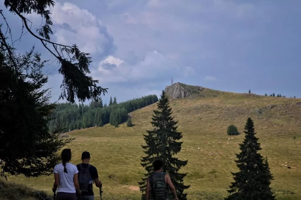 Natural landscape in Mountain-Rest Pension