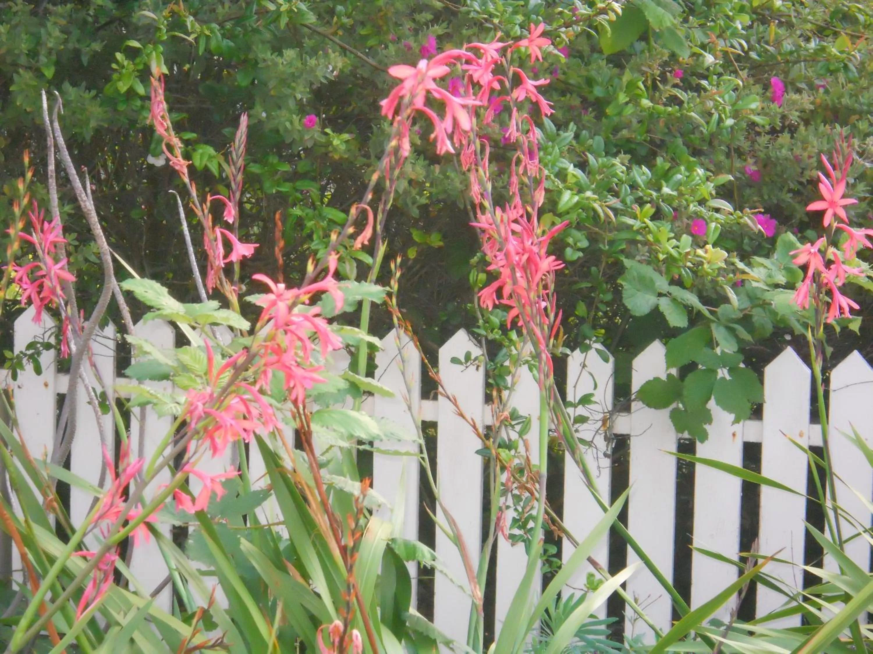 Facade/entrance in Hill House Inn