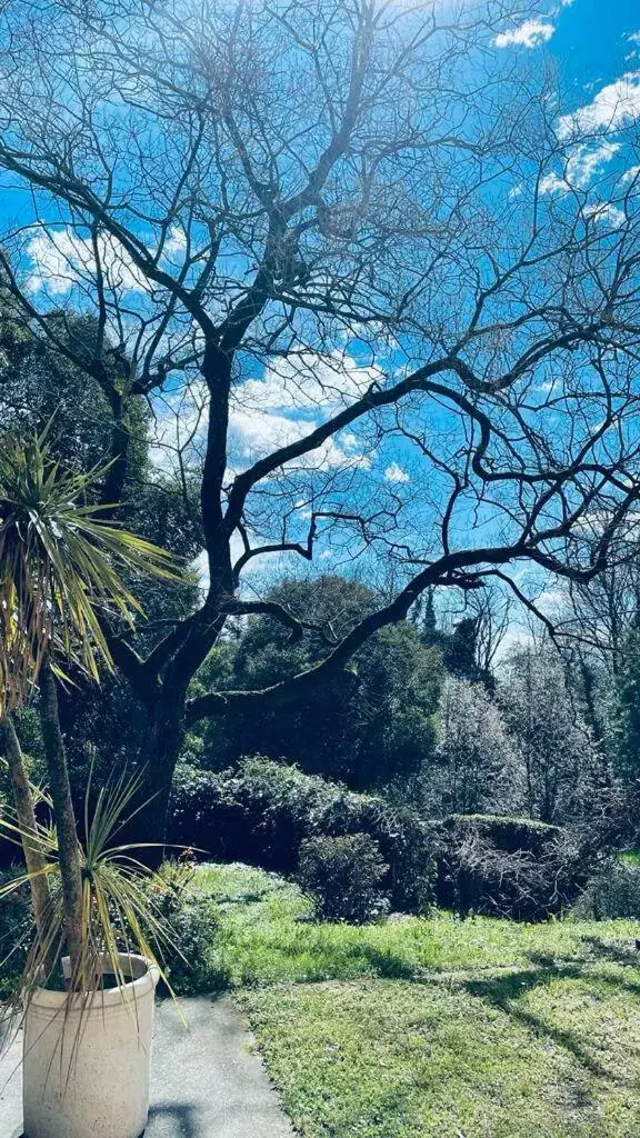 Garden in Villa Scalabrini