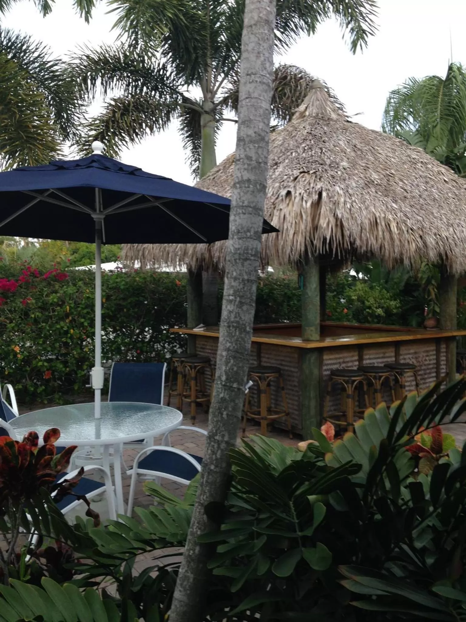 Garden in Casitas Coral Ridge