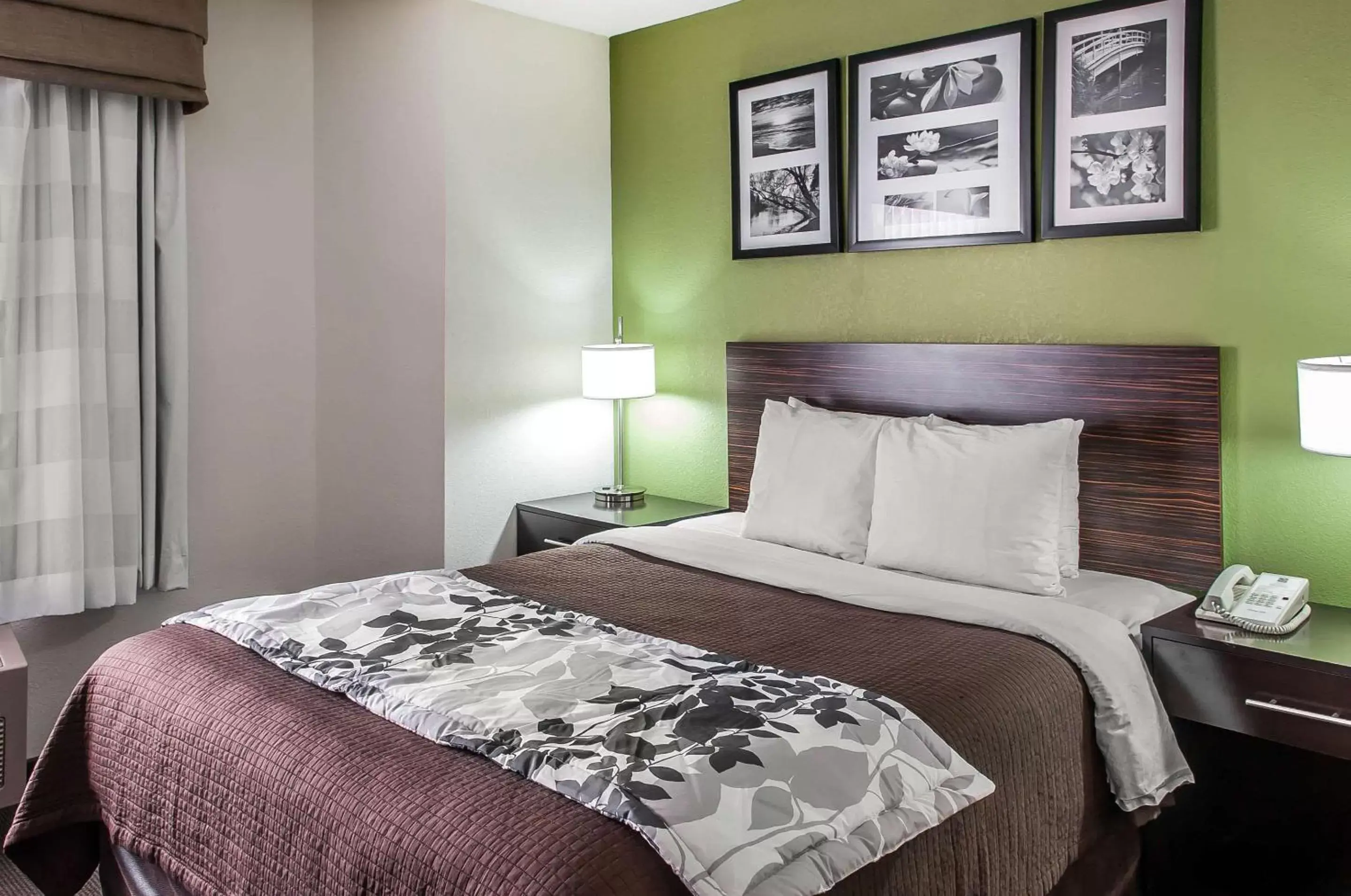 Photo of the whole room, Bed in Sleep Inn Albuquerque Airport