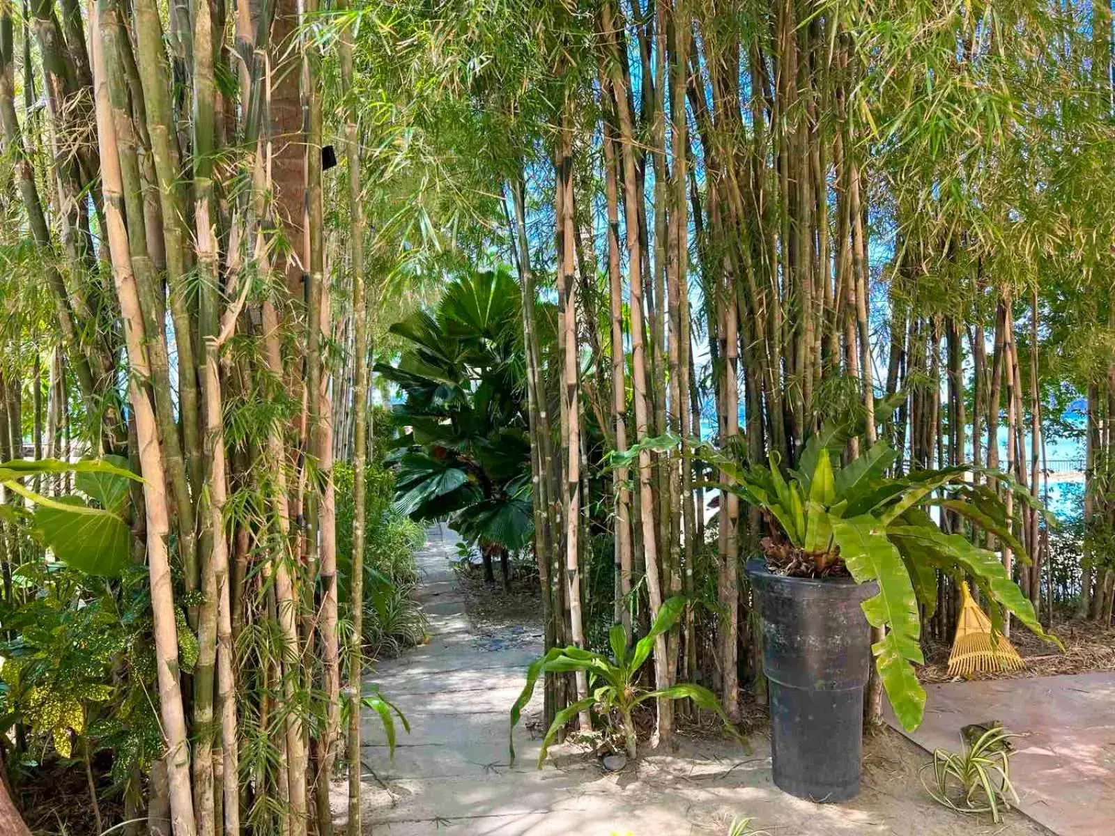 Garden view in Doublegem Beach Resort and Hotel