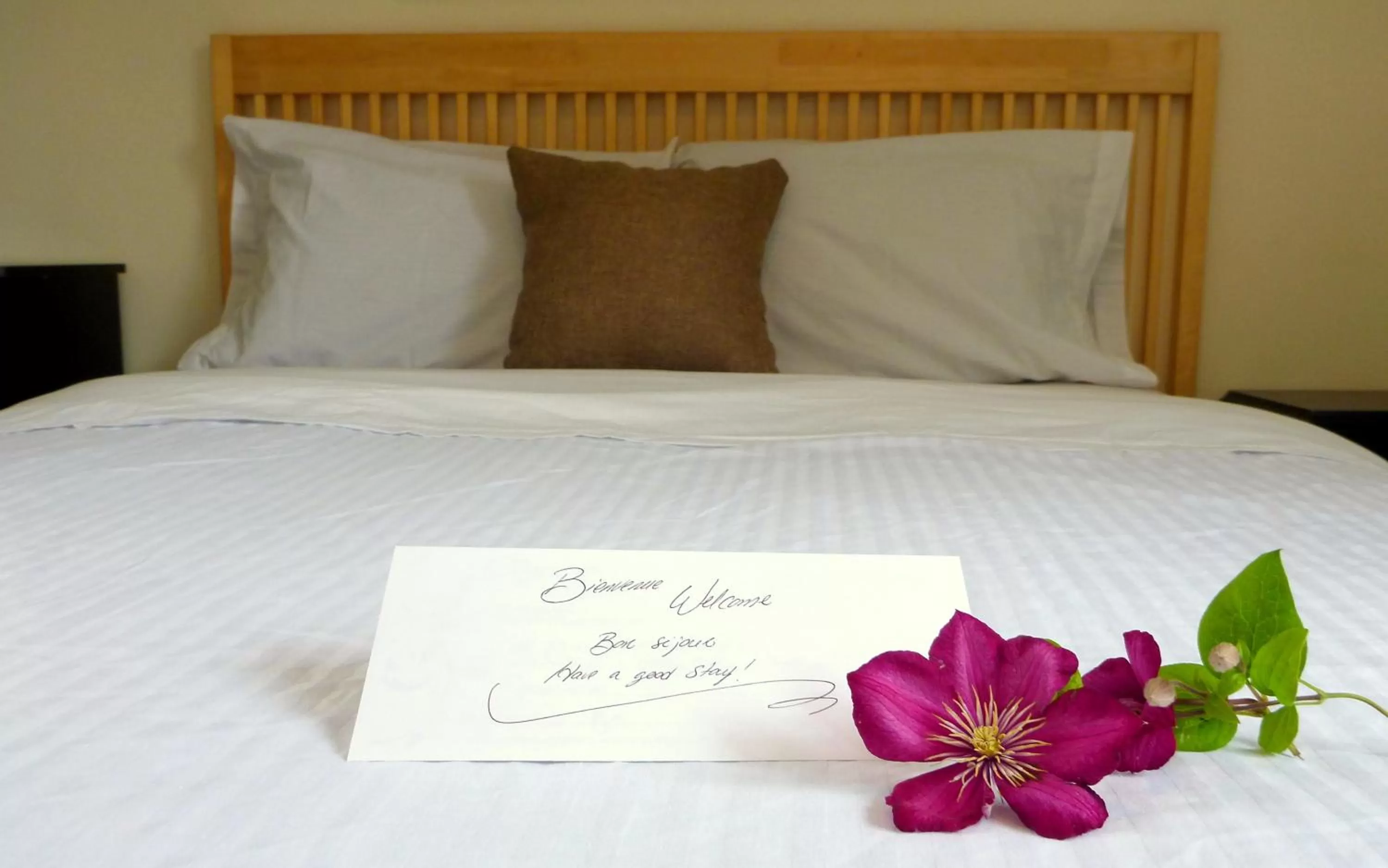 Bed in Objectif Santé