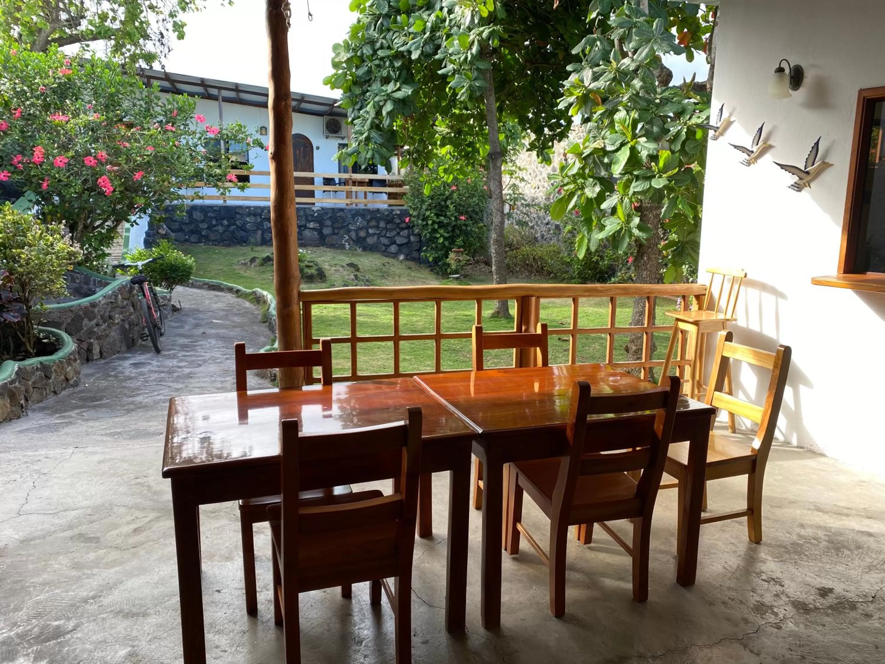 Restaurant/places to eat in La Peregrina Galapagos B&B