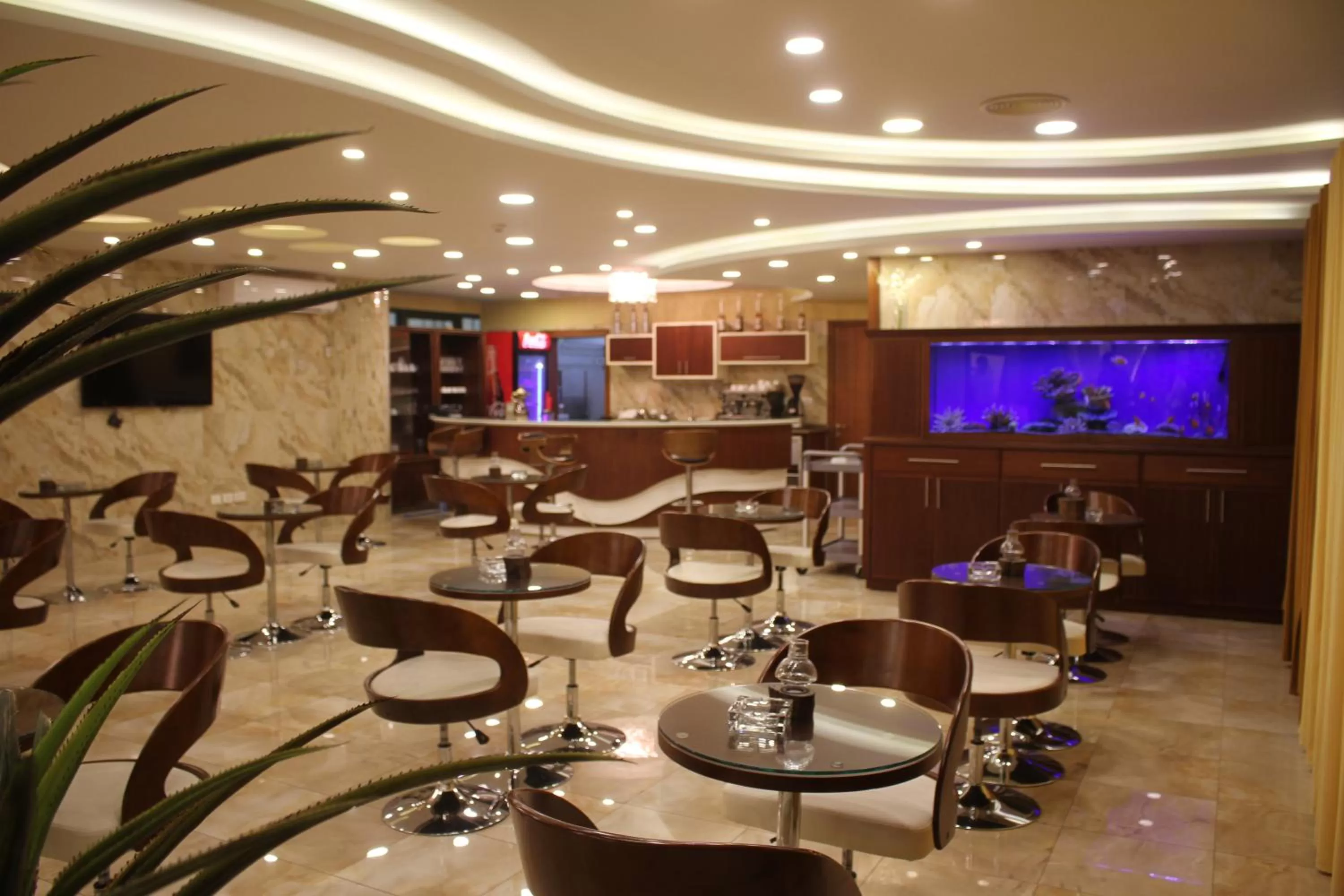 Restaurant/Places to Eat in Saleem Afandi Hotel