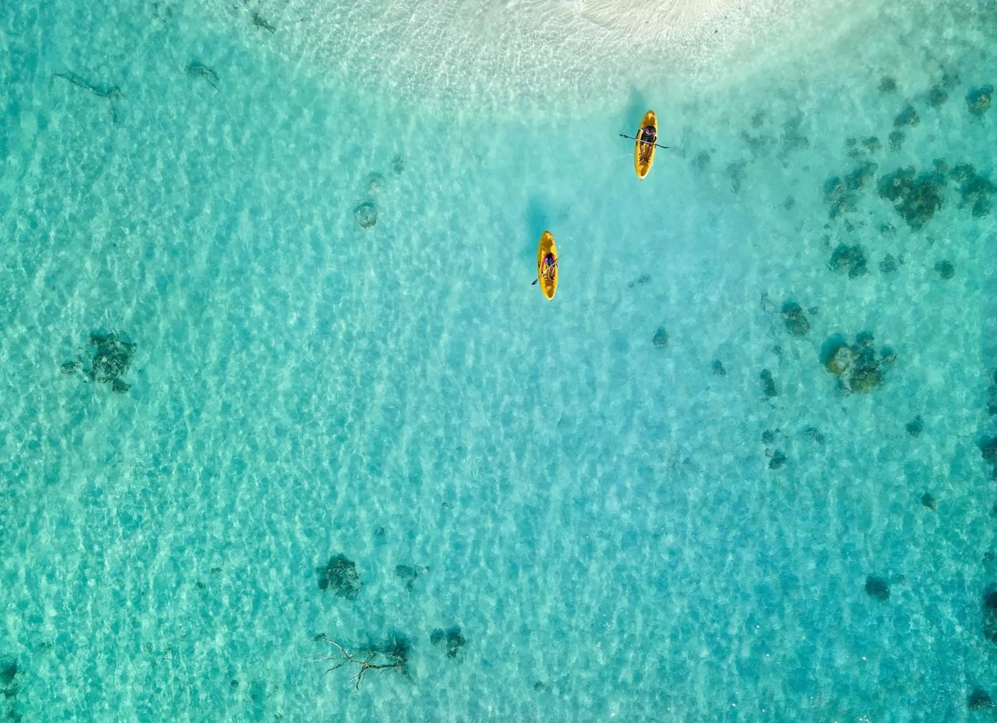 Activities in Canareef Resort Maldives