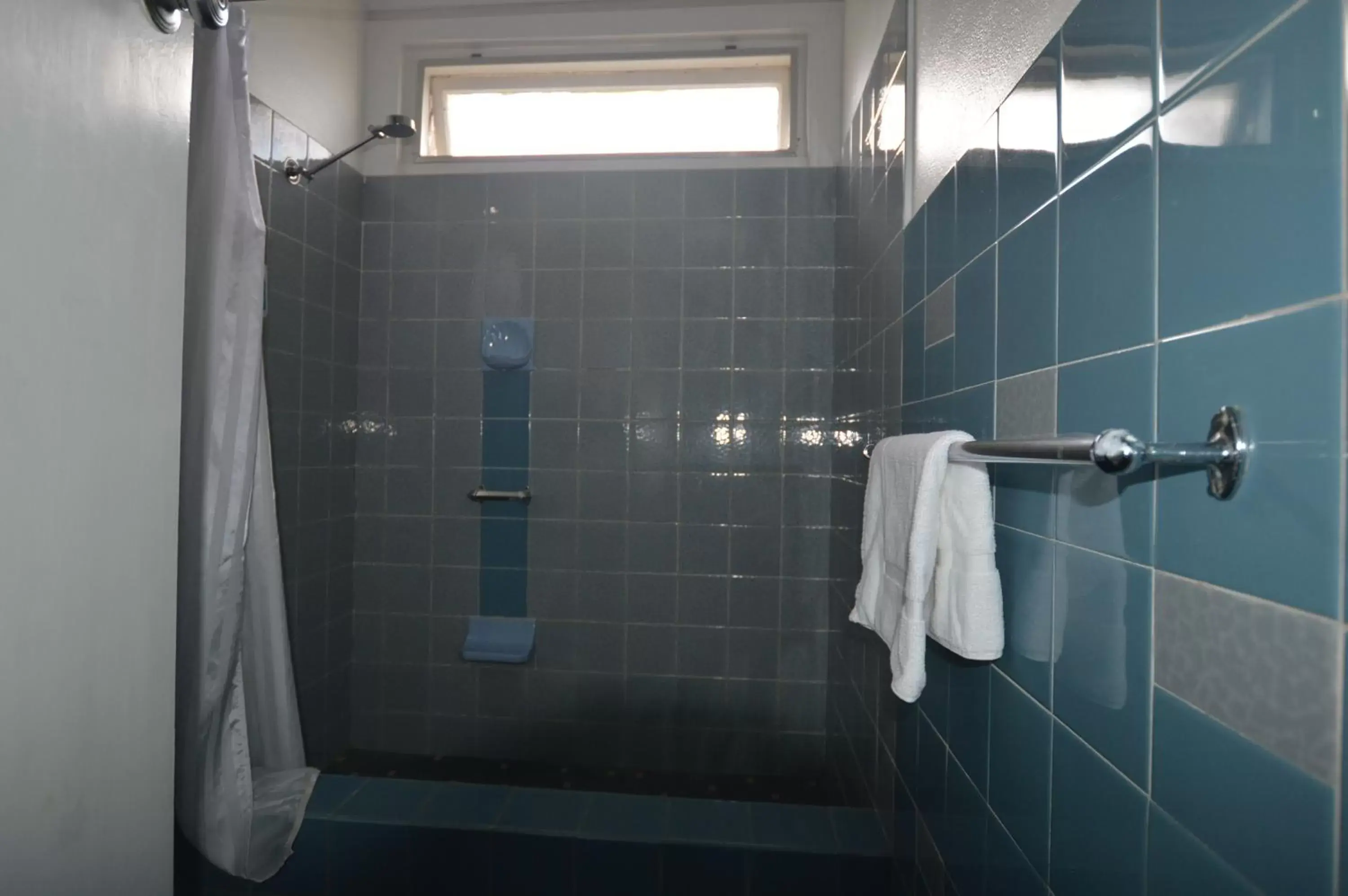 Shower, Bathroom in Mittagong Motel