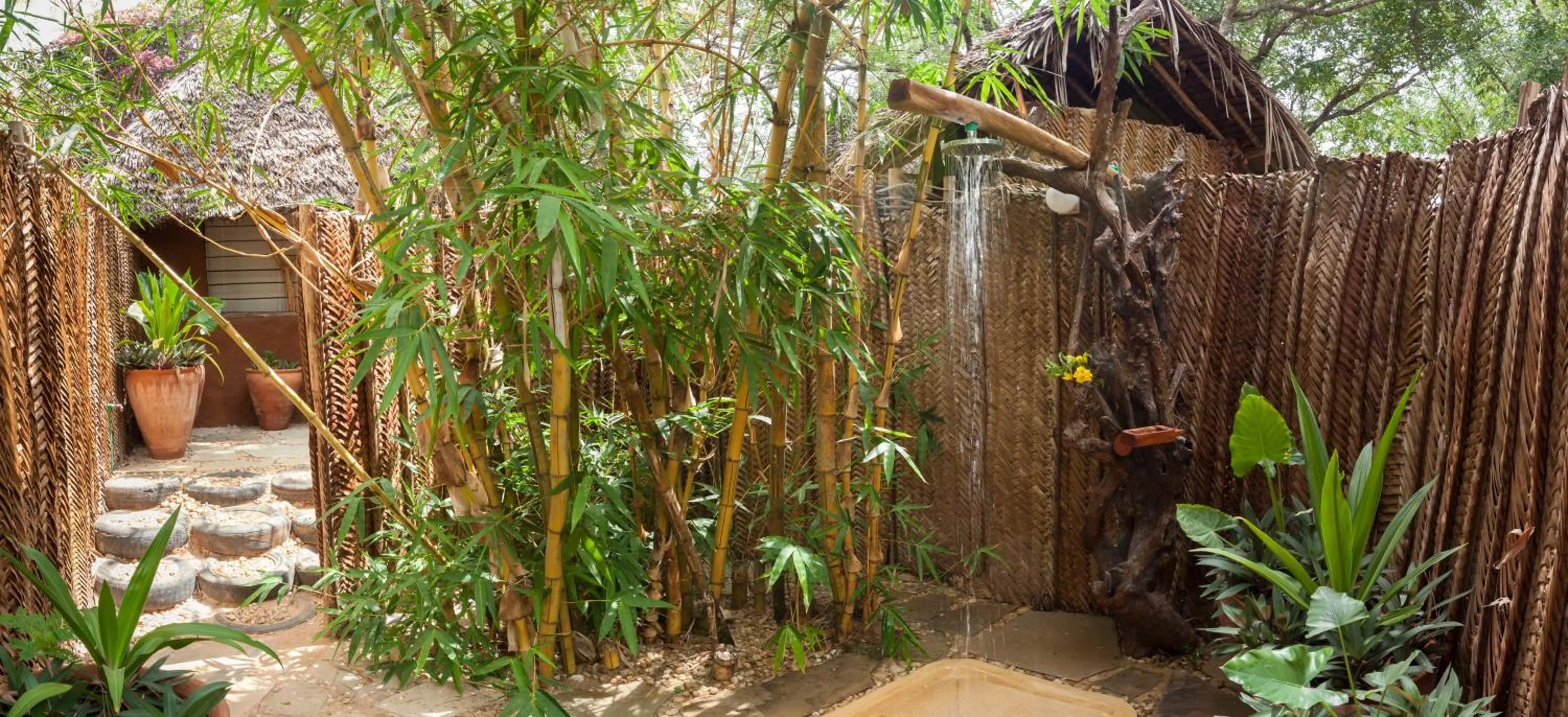 Shower in Distant Relatives Ecolodge & Backpackers