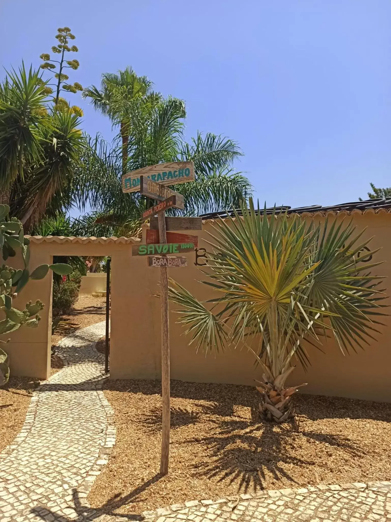 Garden in Quinta Pereiro Tropic Garden, Algarve