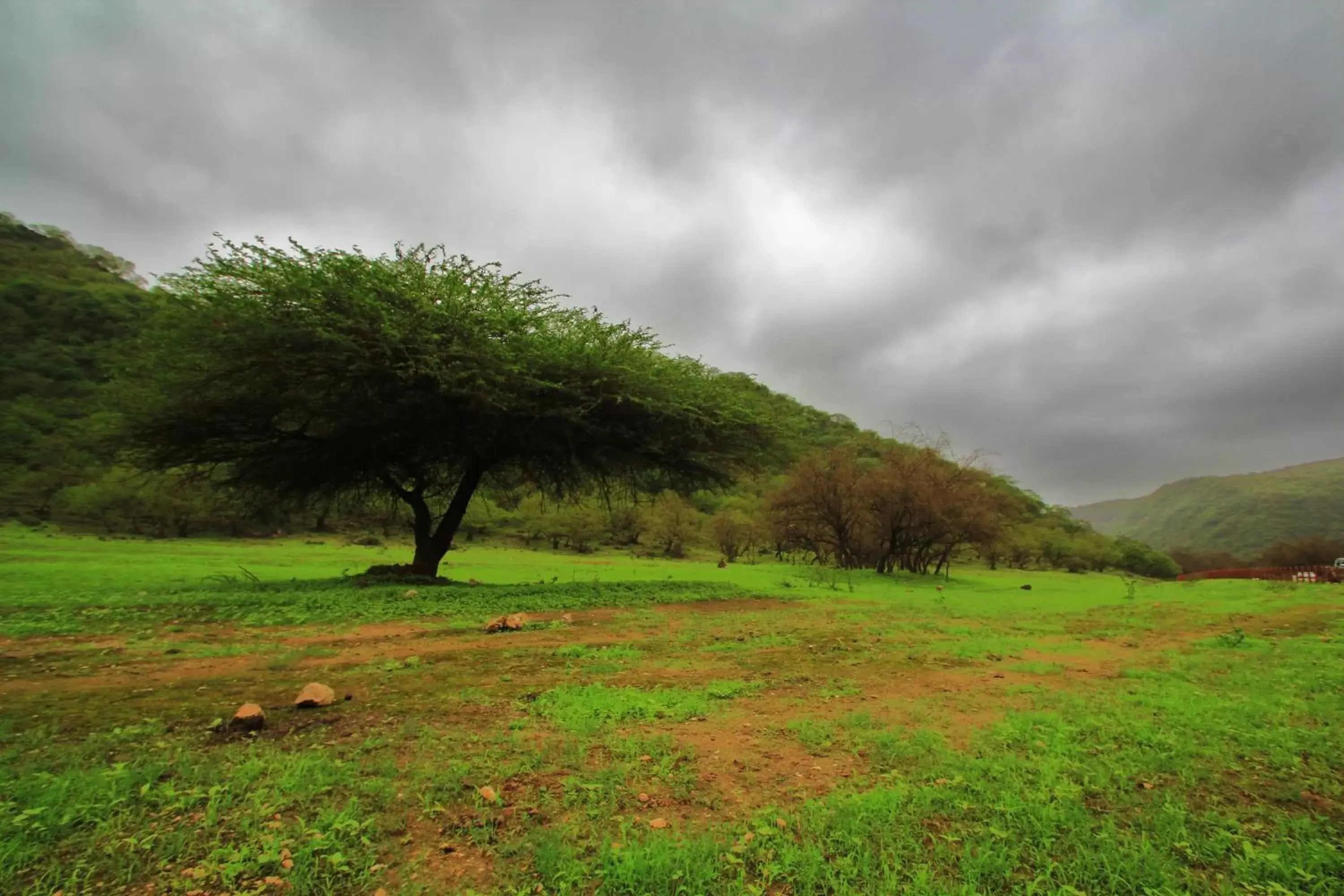 Nearby landmark in Crowne Plaza Resort Salalah, an IHG Hotel