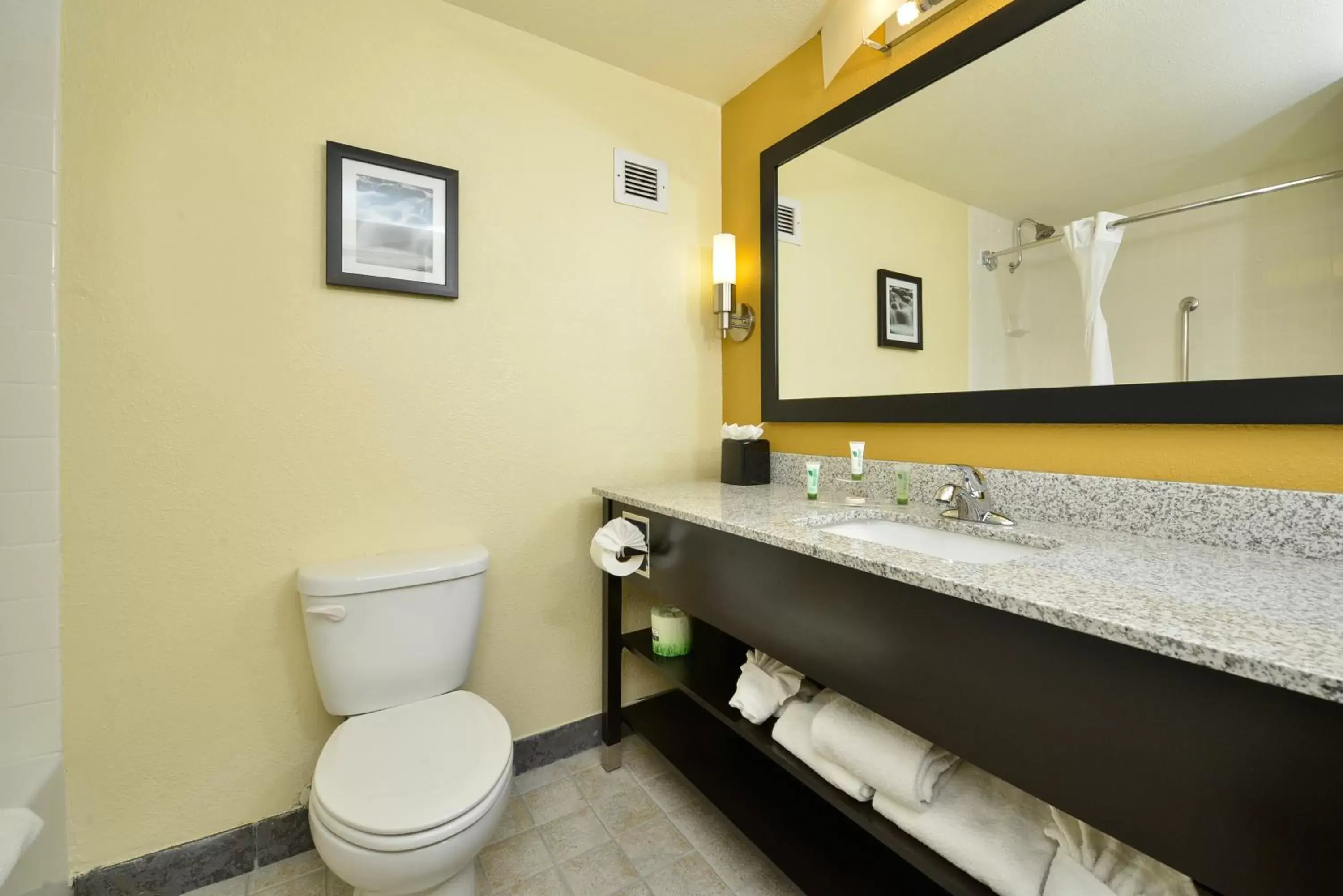 Accessible King Room with Sofa Bed and Roll-In Shower in Greenwood Inn