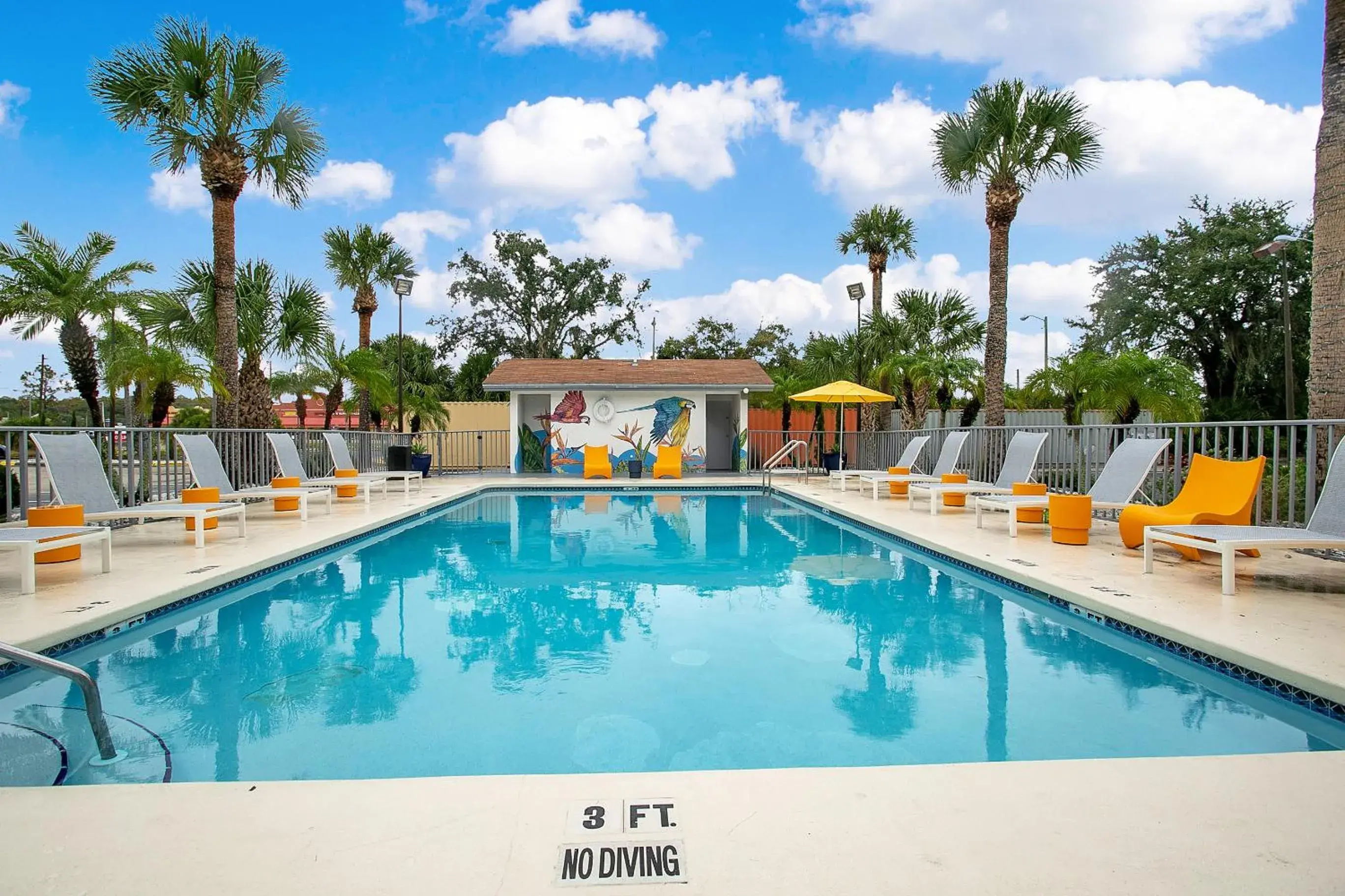 Swimming Pool in Vivo Living Kissimmee West