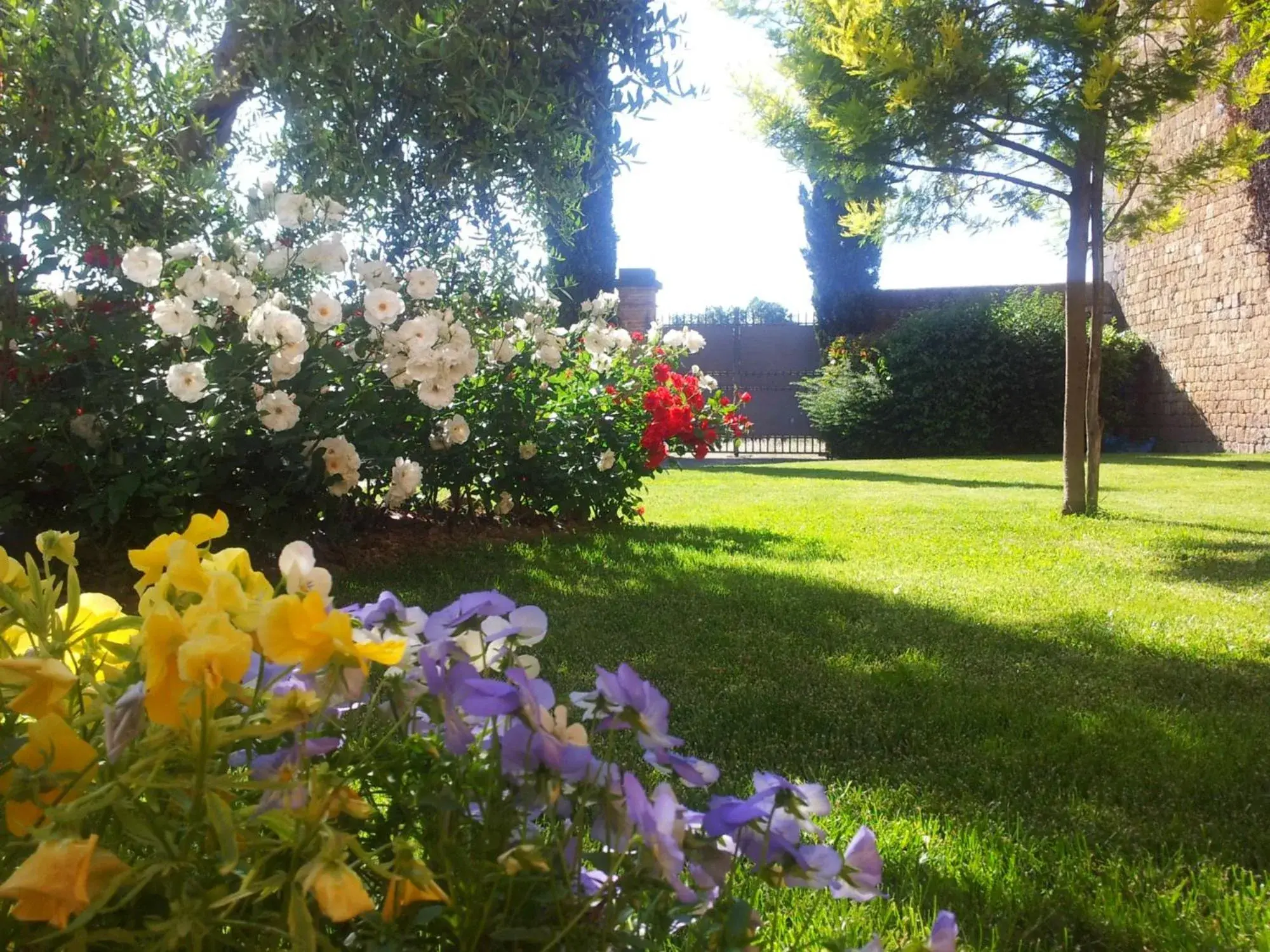 Day, Garden in Borgo Sant'ippolito Country Hotel