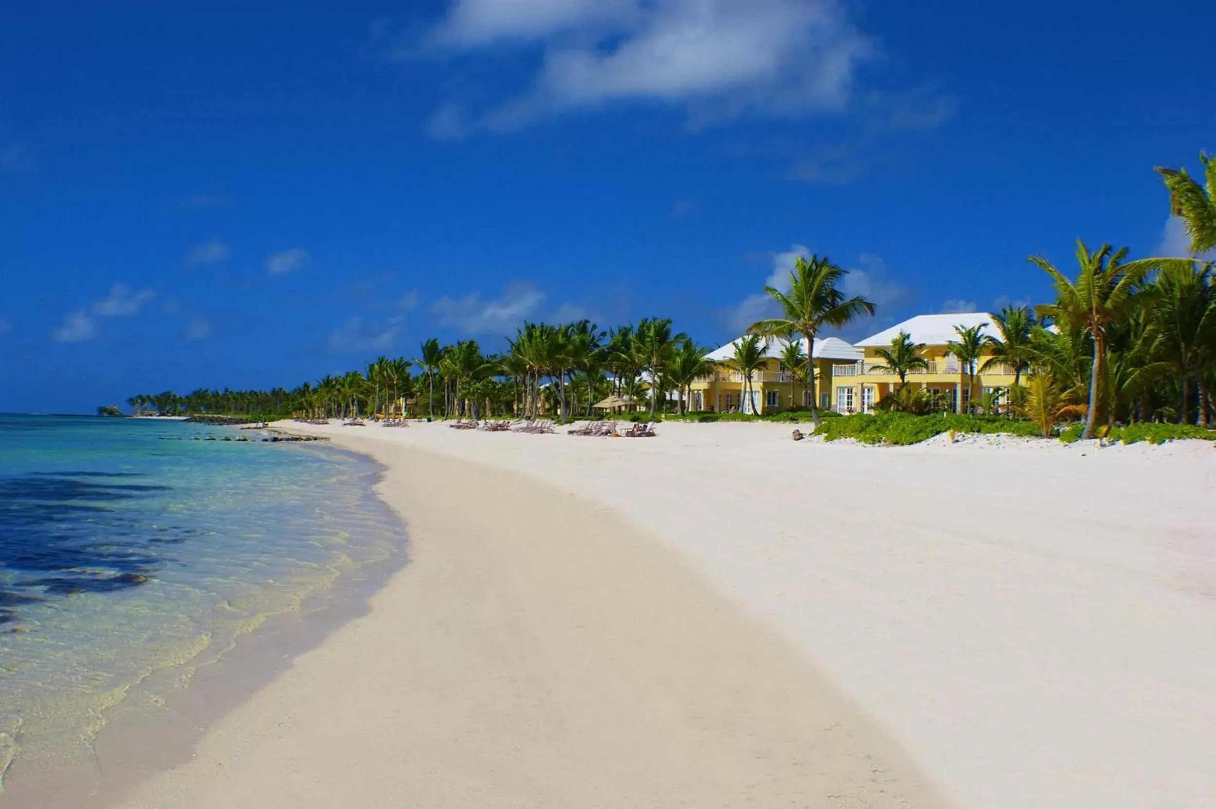 Beach in Tortuga Bay