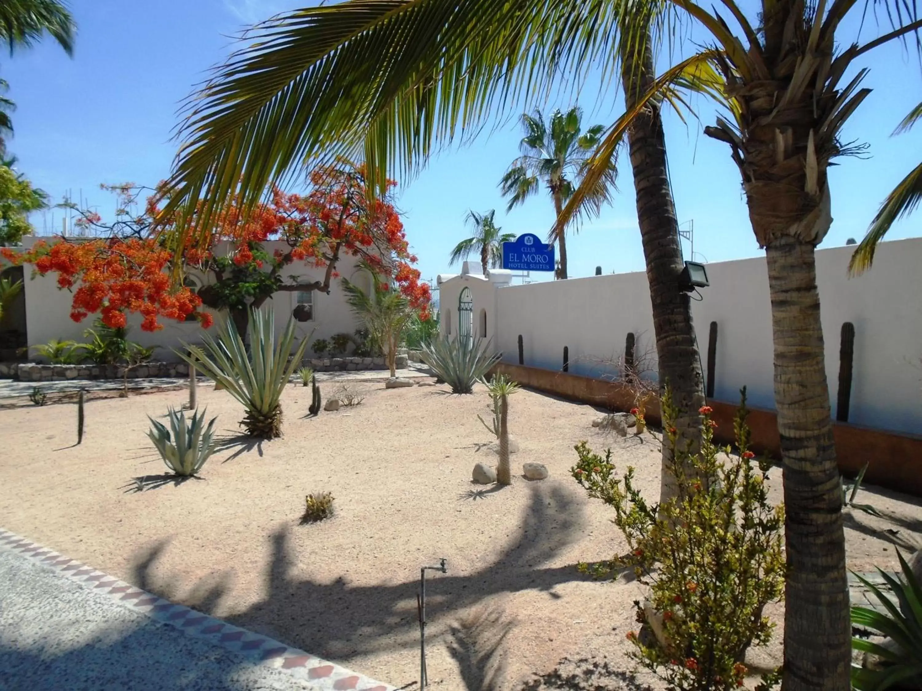 Garden, Beach in Hotel & Suites El Moro